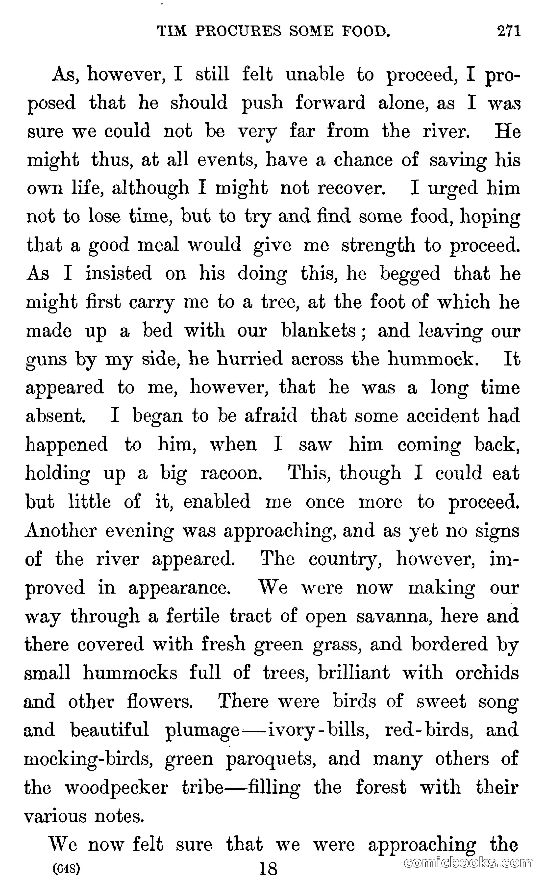 In the Wilds of Florida — page 273 of 400