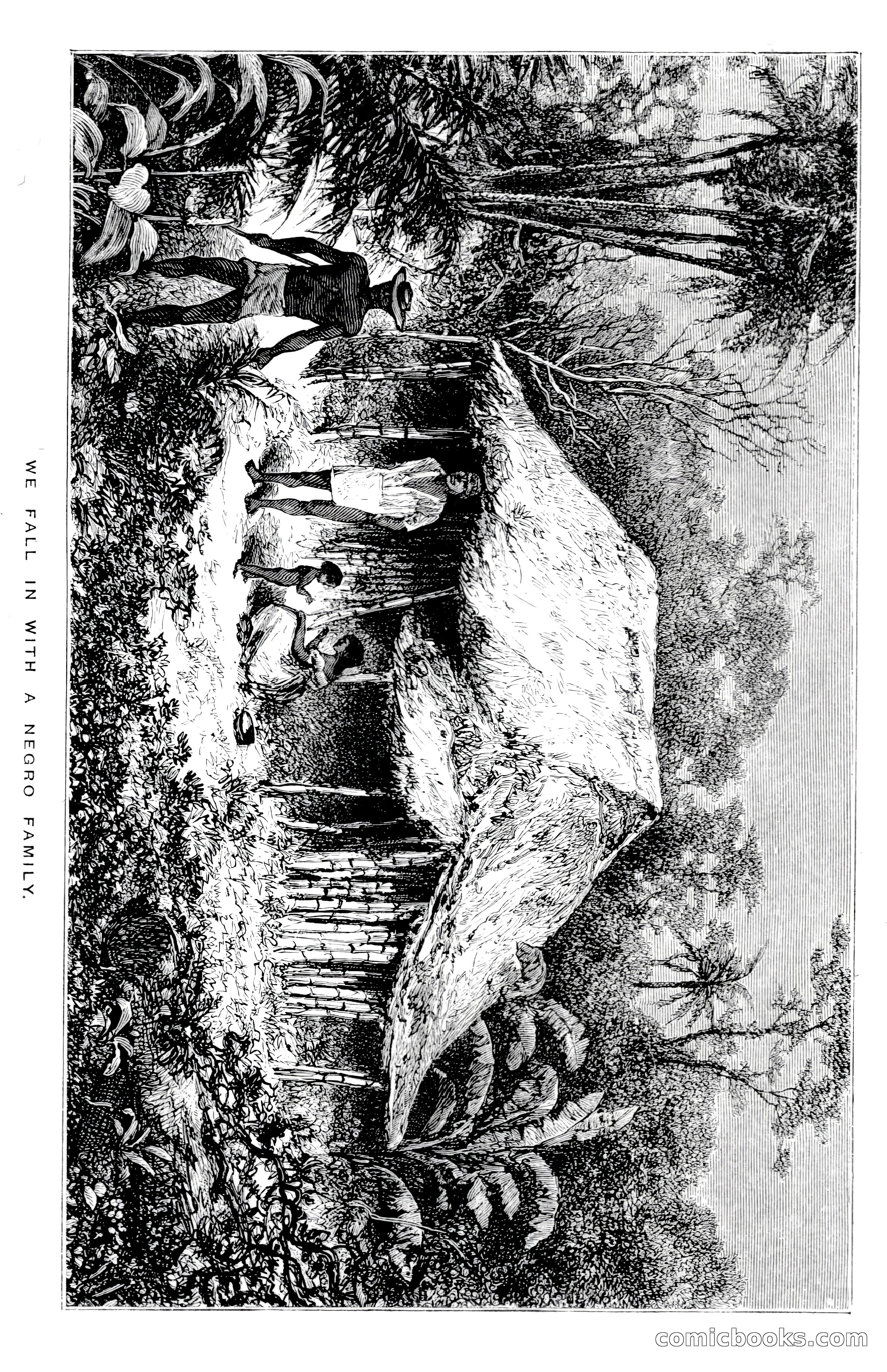 In the Wilds of Florida — page 275 of 400