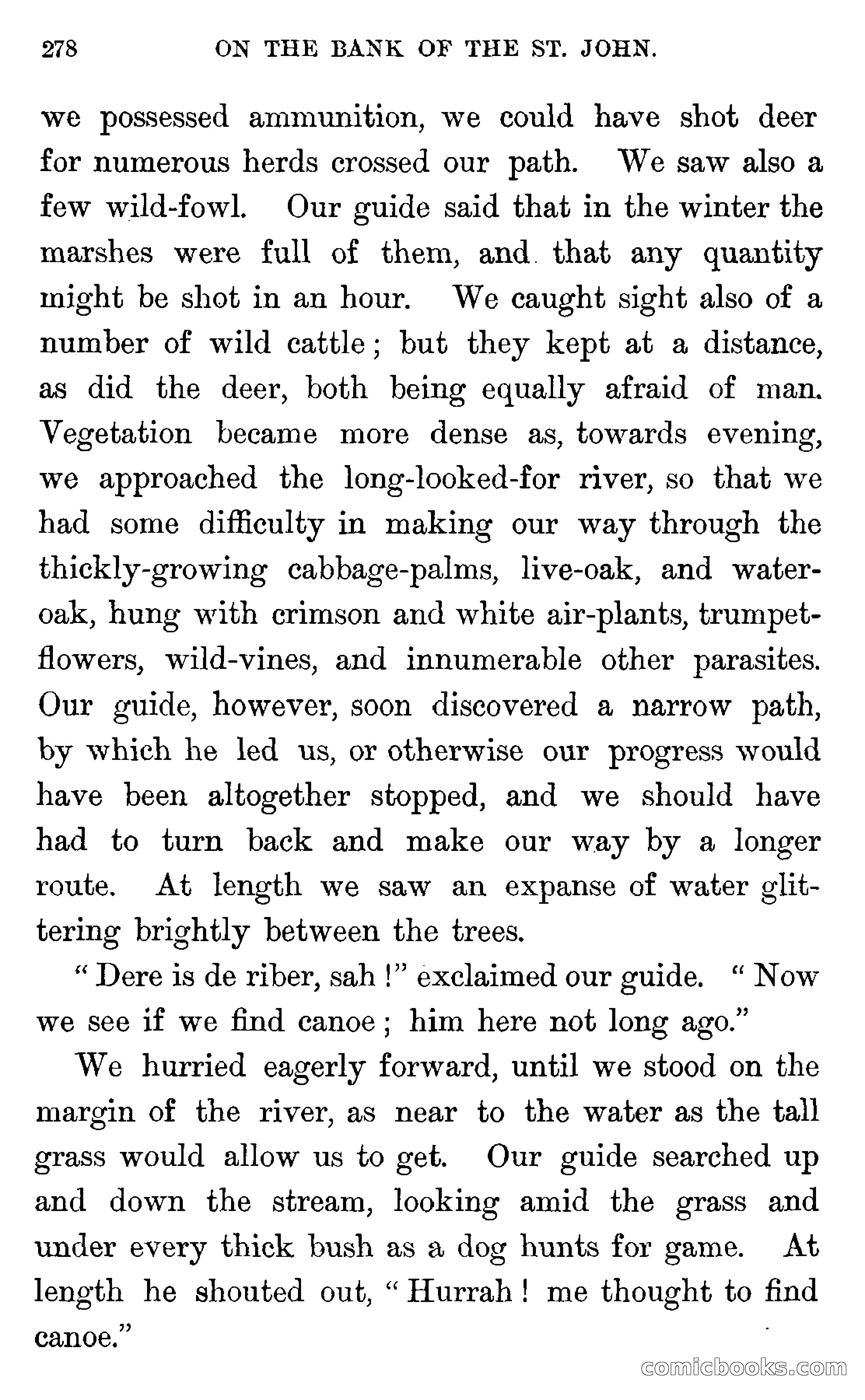 In the Wilds of Florida — page 280 of 400