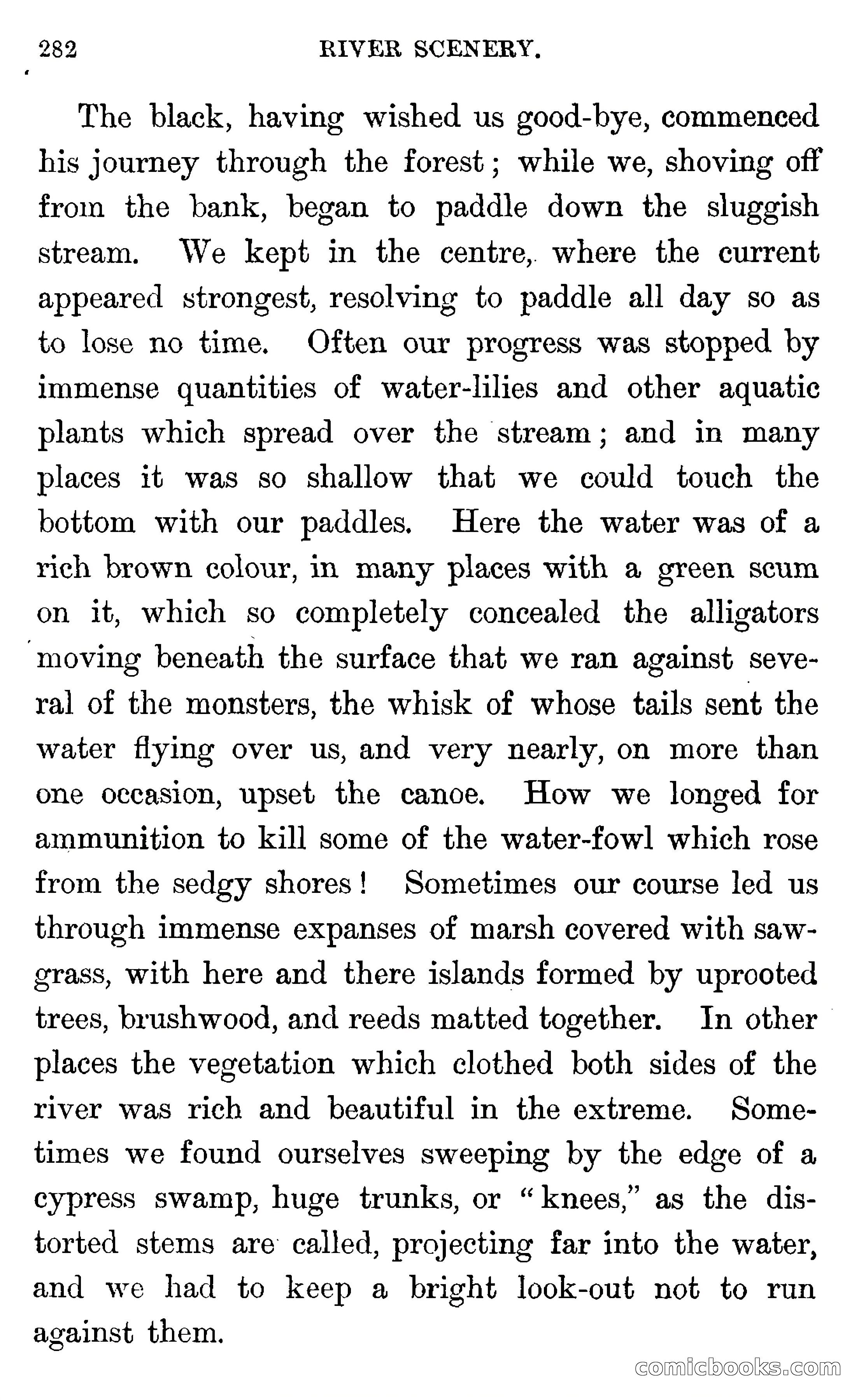 In the Wilds of Florida — page 284 of 400