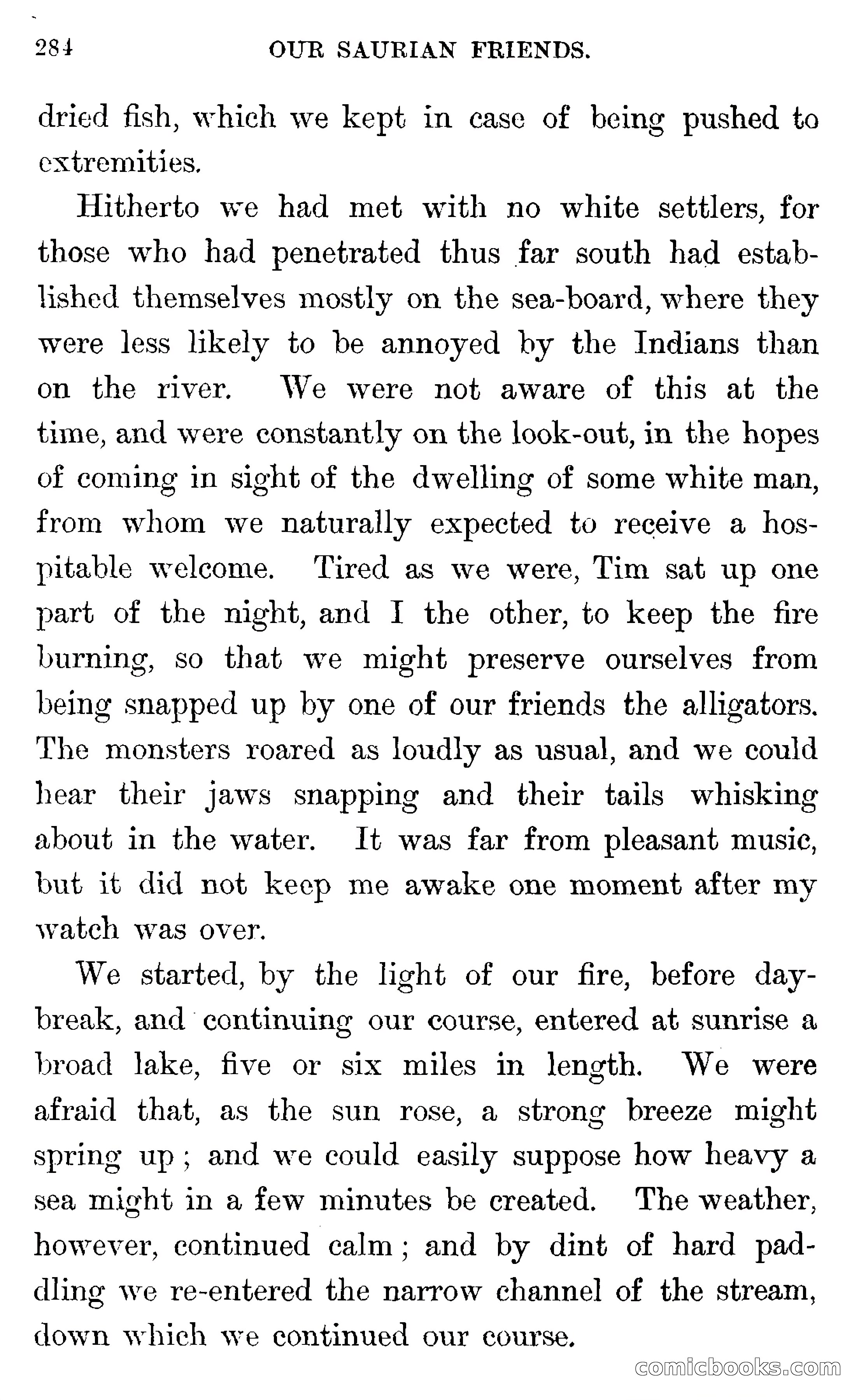 In the Wilds of Florida — page 286 of 400
