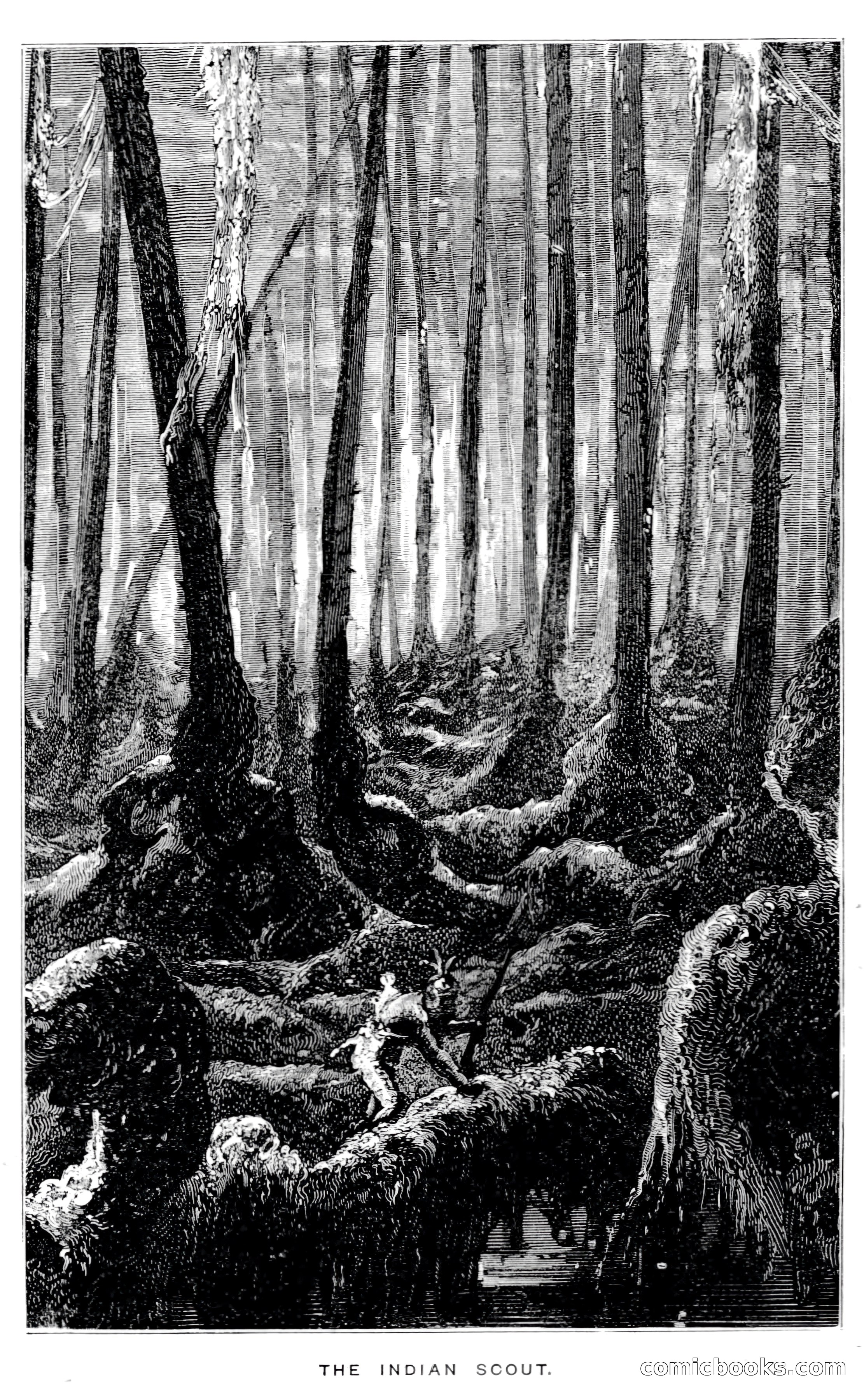 In the Wilds of Florida — page 291 of 400