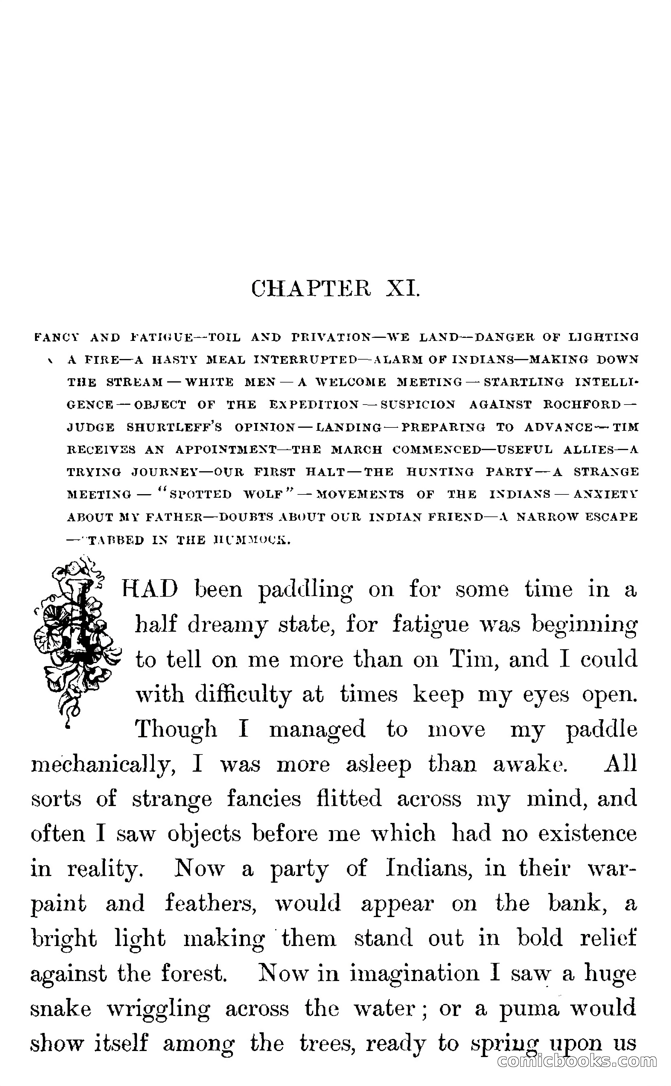 In the Wilds of Florida — page 295 of 400