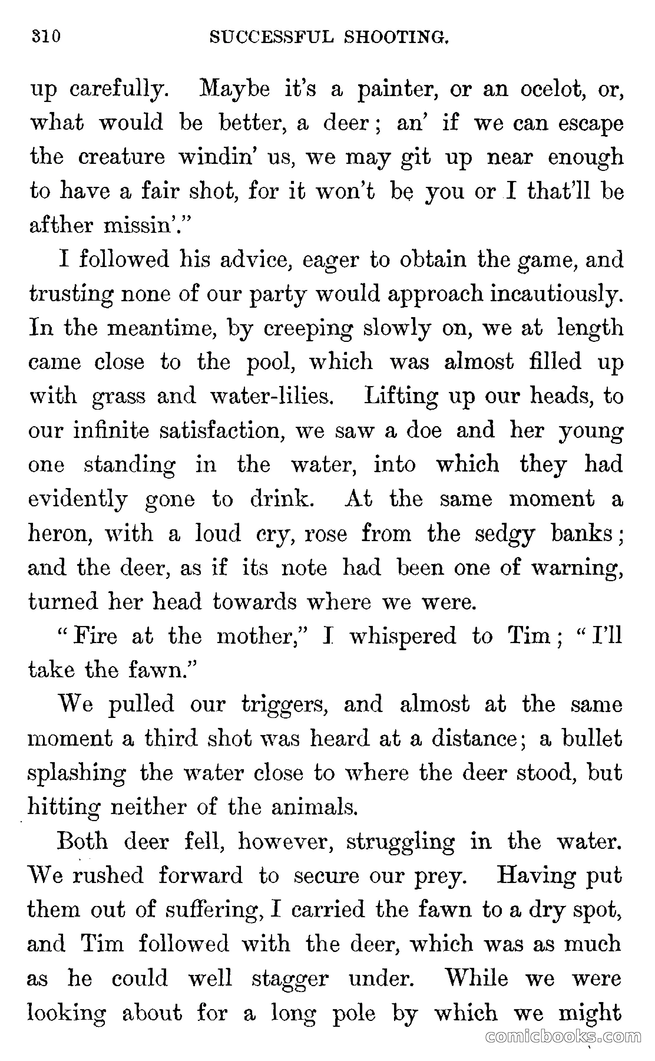 In the Wilds of Florida — page 312 of 400
