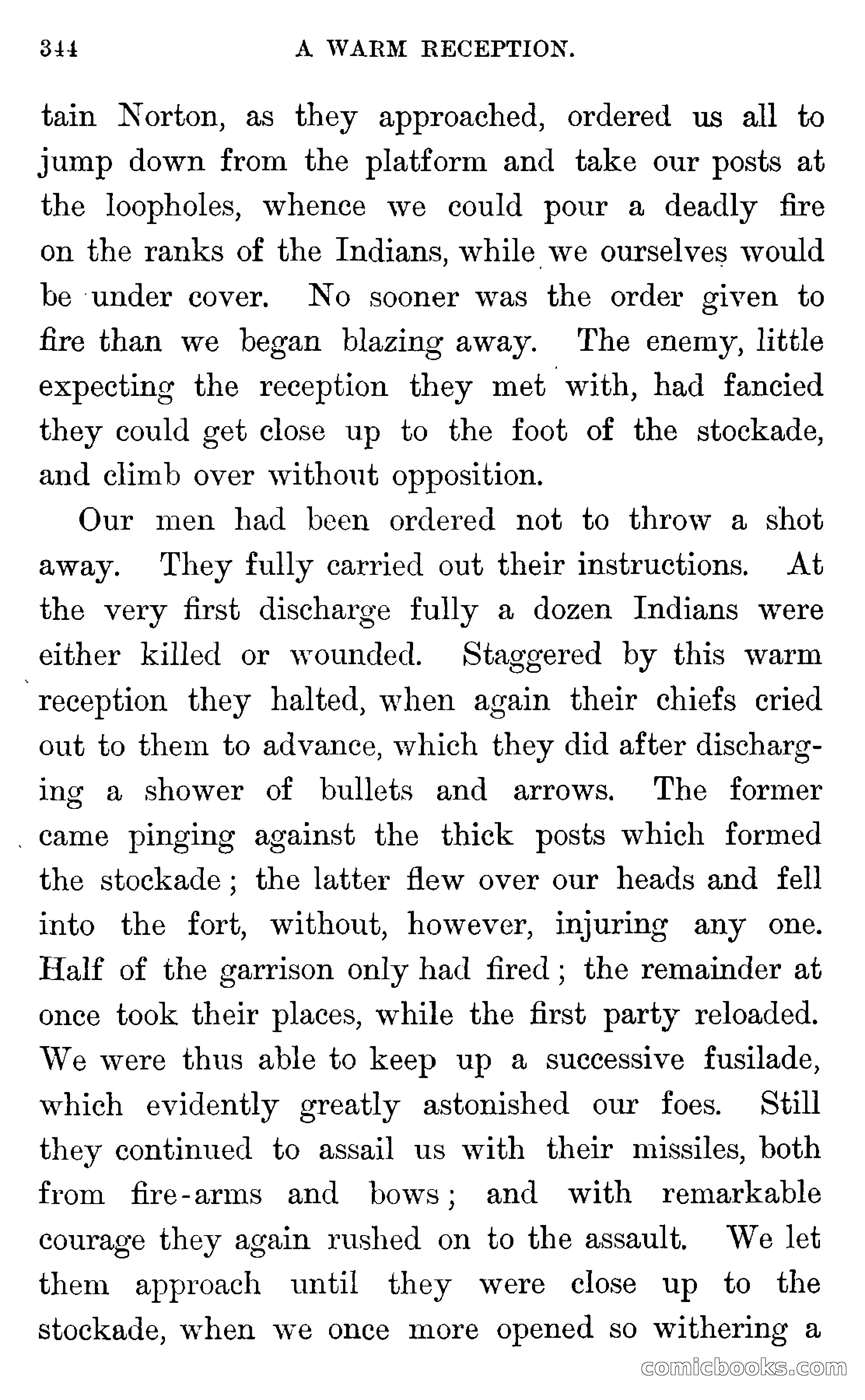 In the Wilds of Florida — page 346 of 400