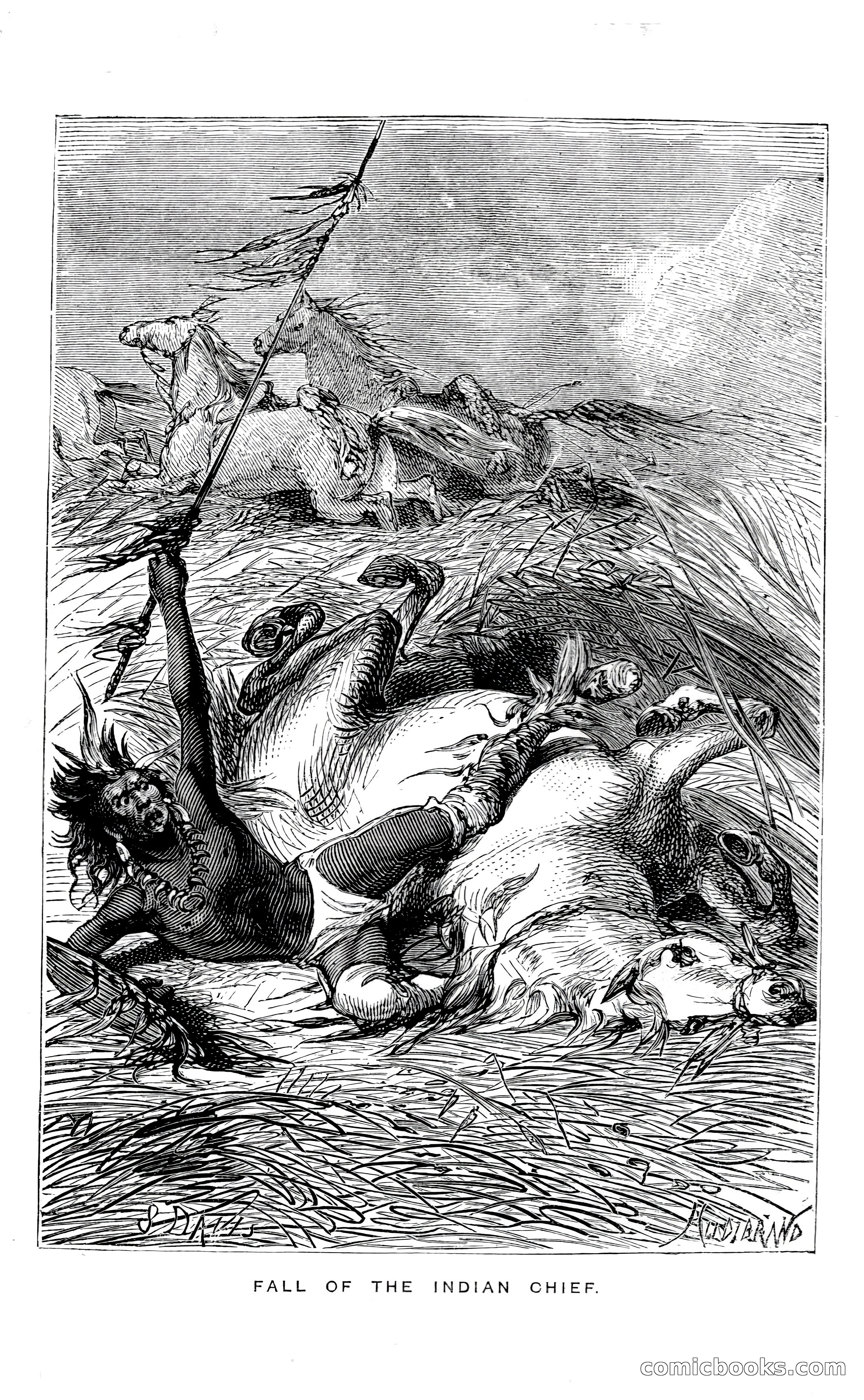 In the Wilds of Florida — page 349 of 400