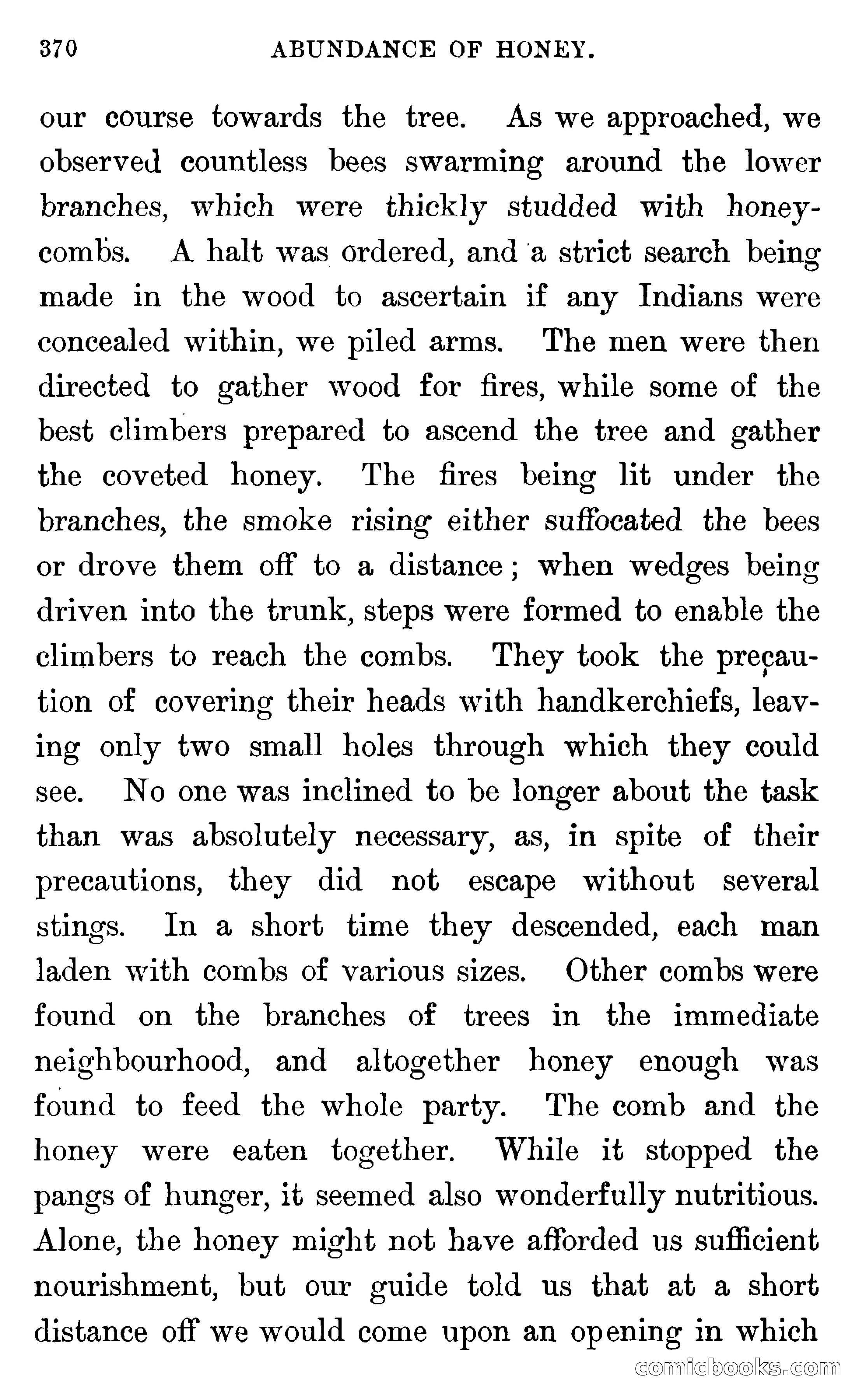In the Wilds of Florida — page 372 of 400