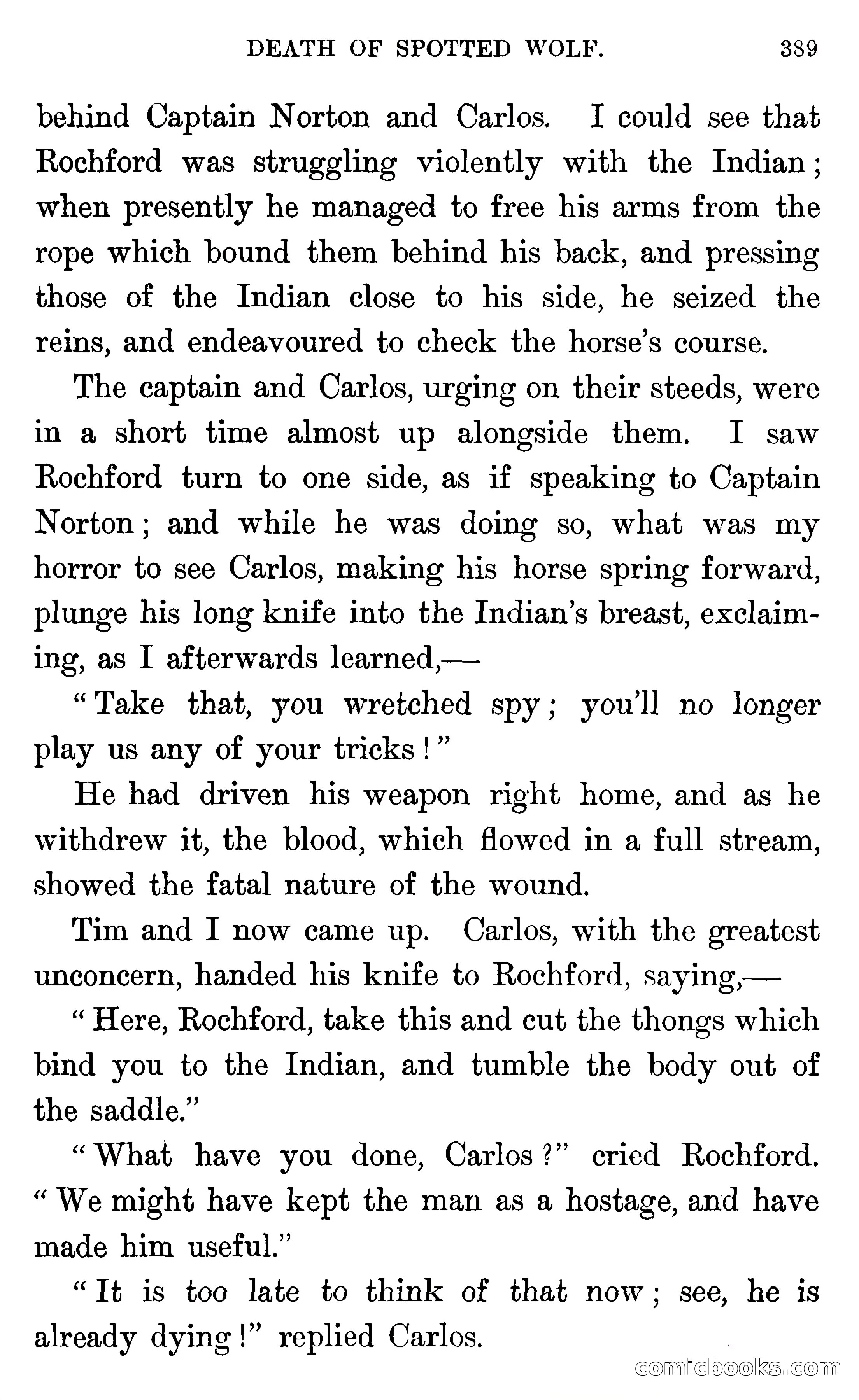In the Wilds of Florida — page 391 of 400