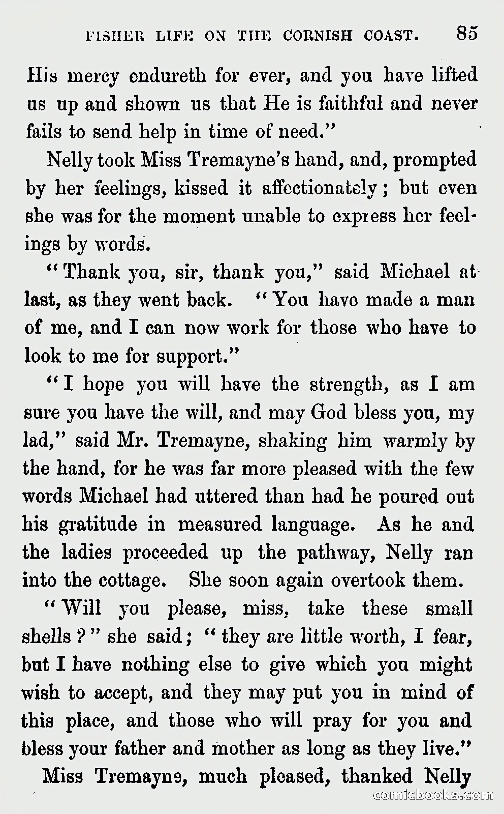 Michael Penguyne; or, Fisher Life on the Cornish Coast — page 87 of 162