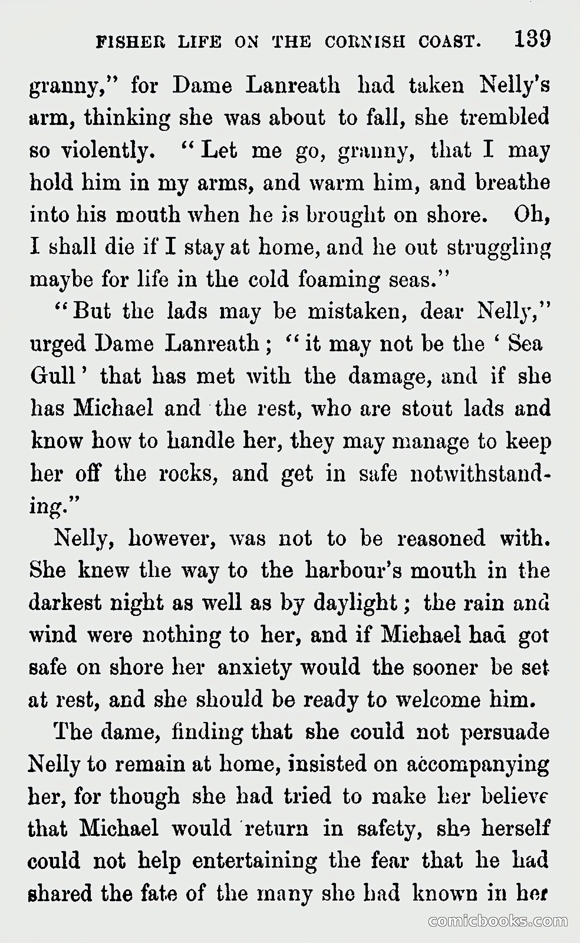 Michael Penguyne; or, Fisher Life on the Cornish Coast — page 141 of 162