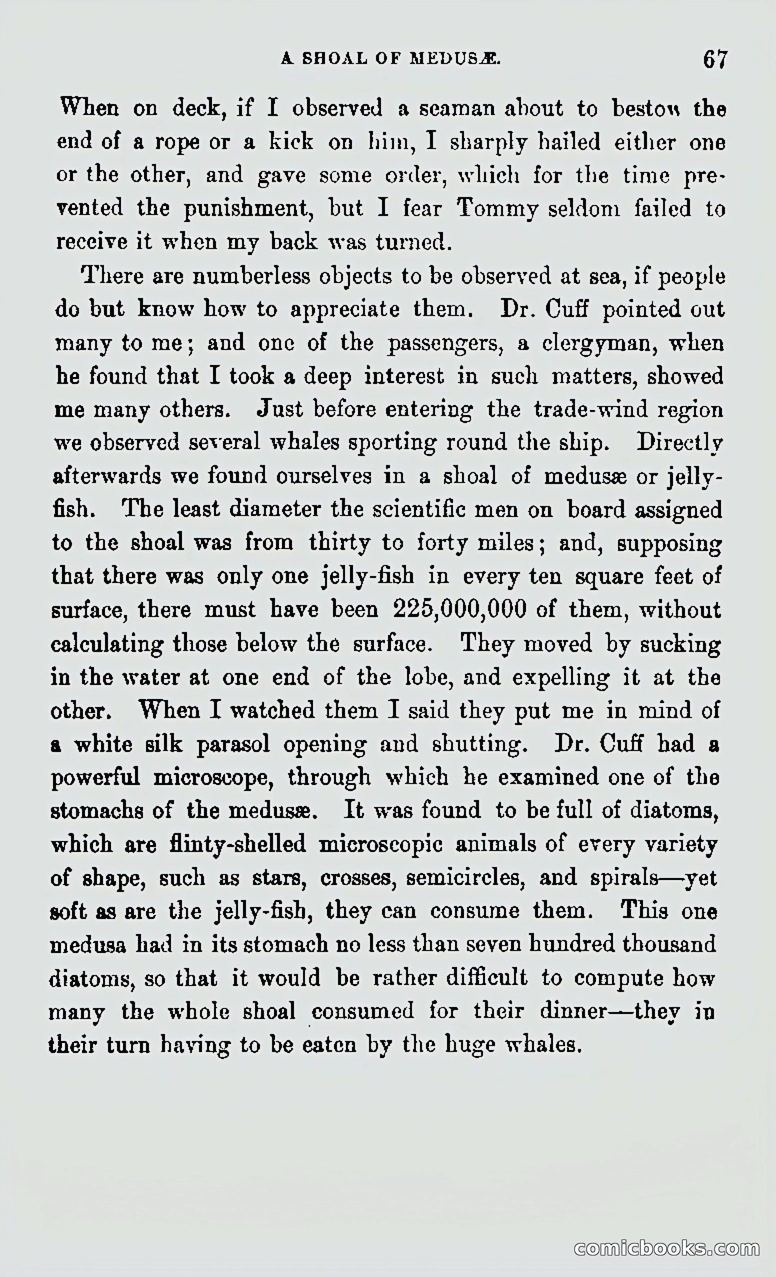 My First Voyage to Southern Seas — page 69 of 400