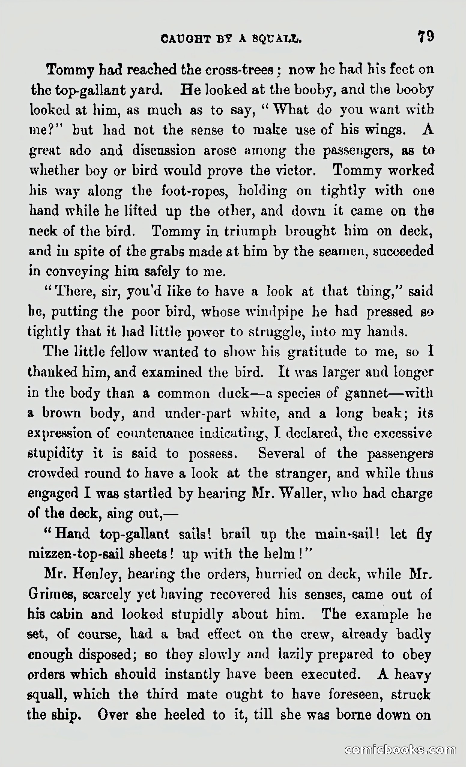 My First Voyage to Southern Seas — page 81 of 400