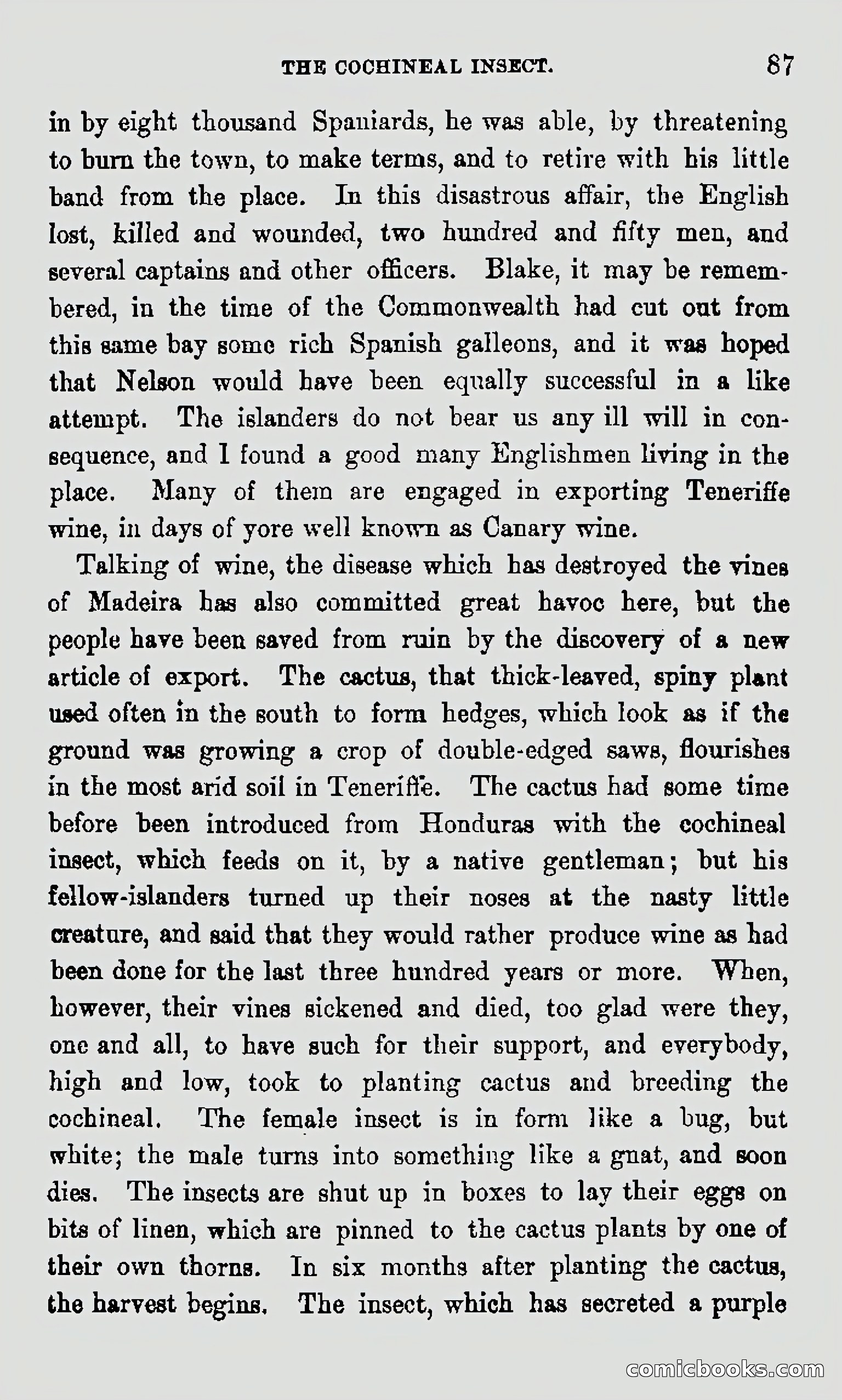 My First Voyage to Southern Seas — page 89 of 400