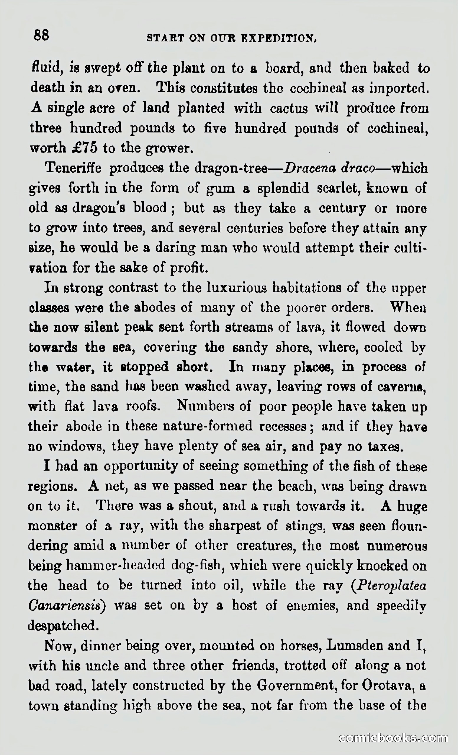 My First Voyage to Southern Seas — page 90 of 400