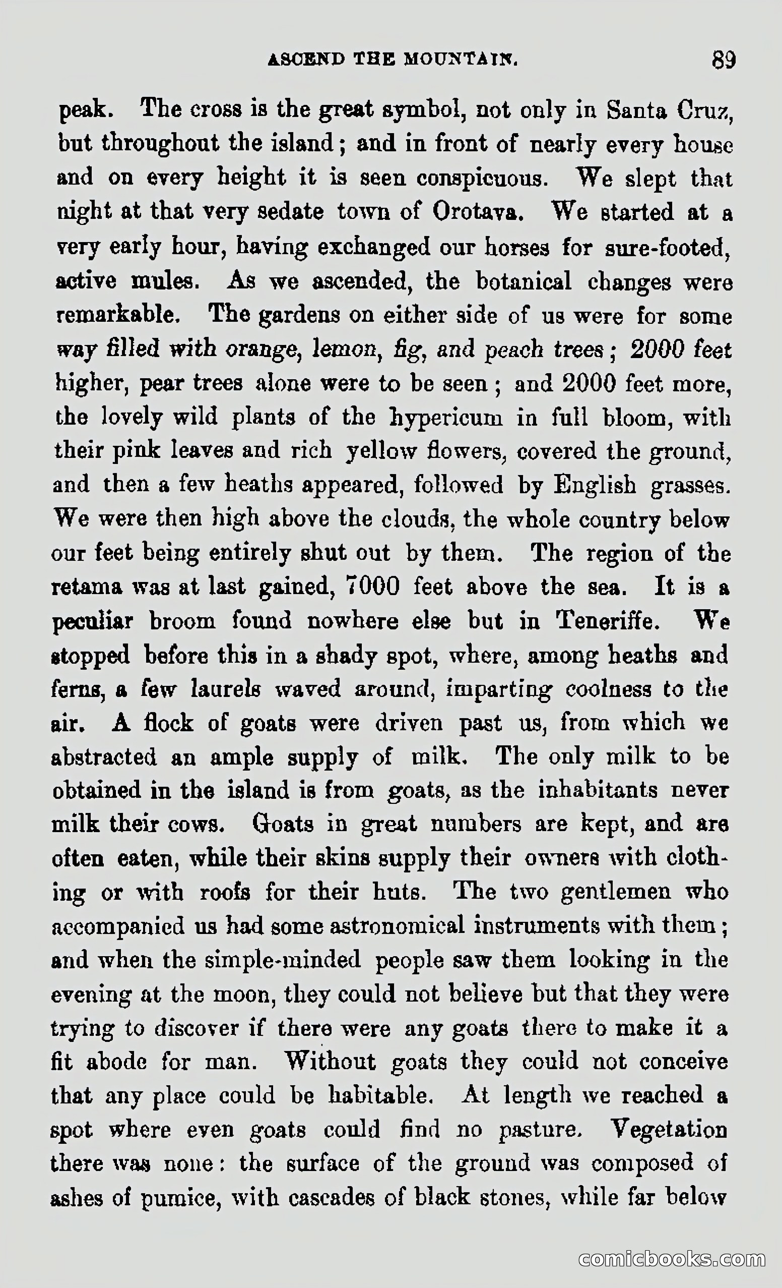 My First Voyage to Southern Seas — page 91 of 400