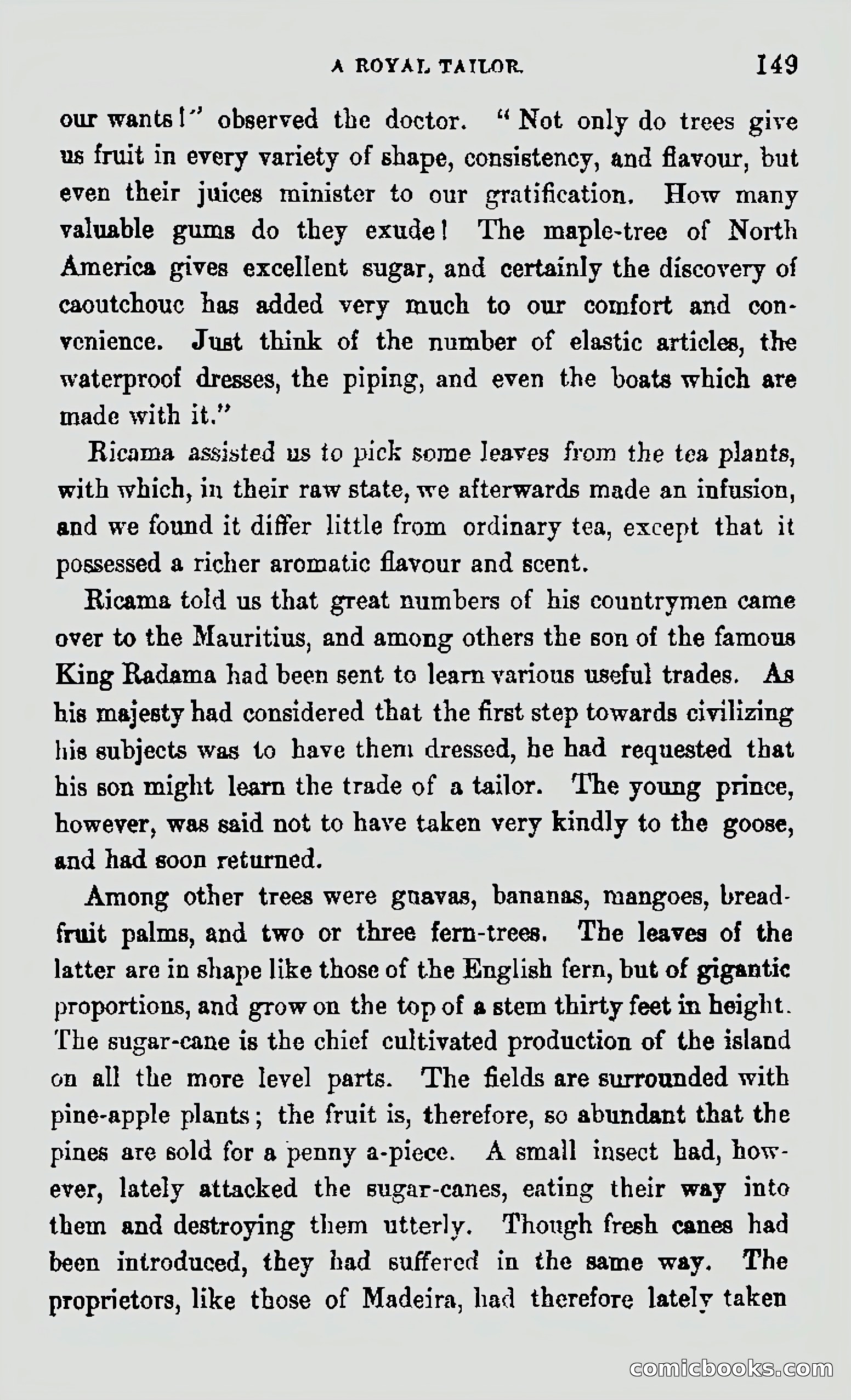 My First Voyage to Southern Seas — page 151 of 400