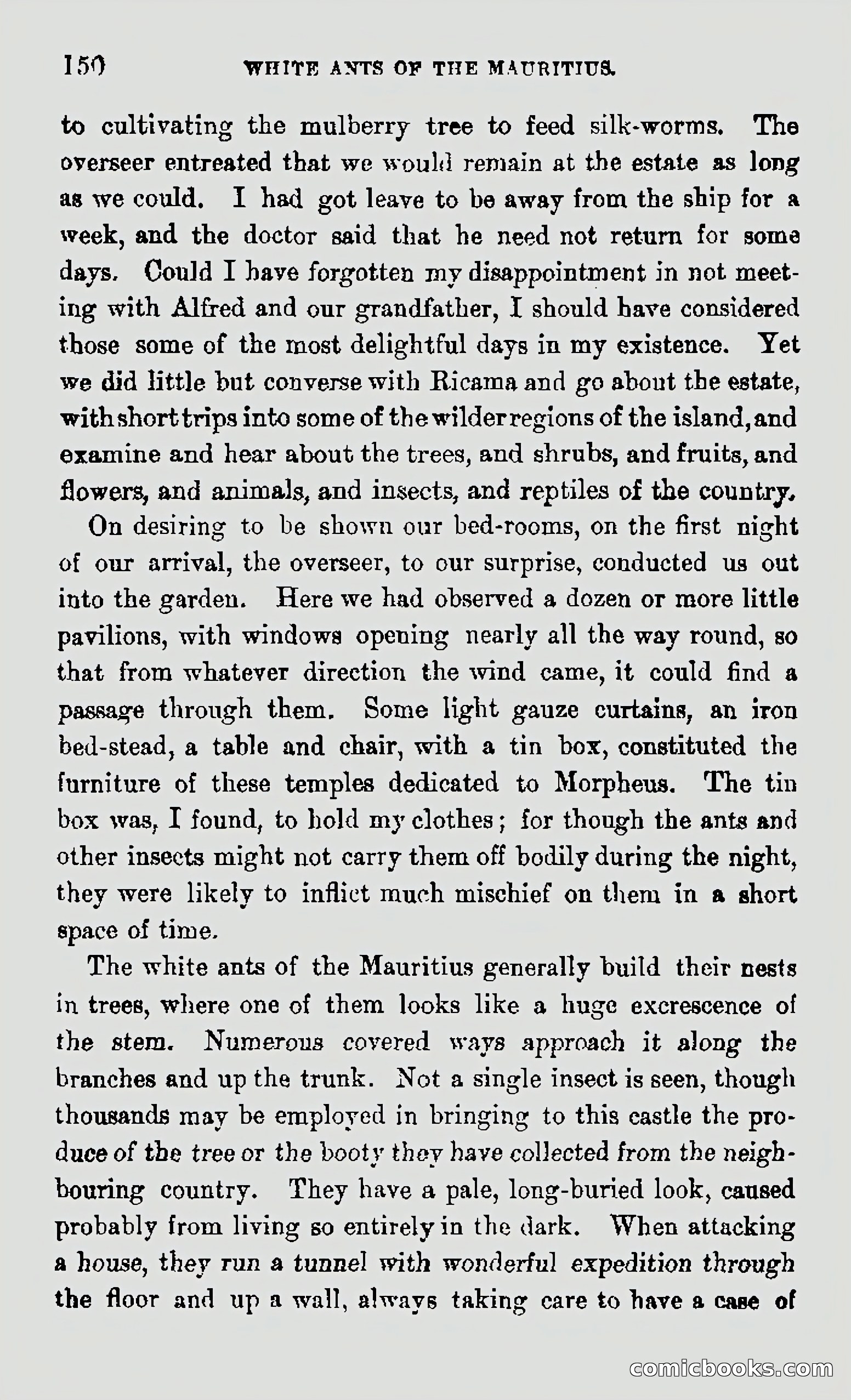 My First Voyage to Southern Seas — page 152 of 400