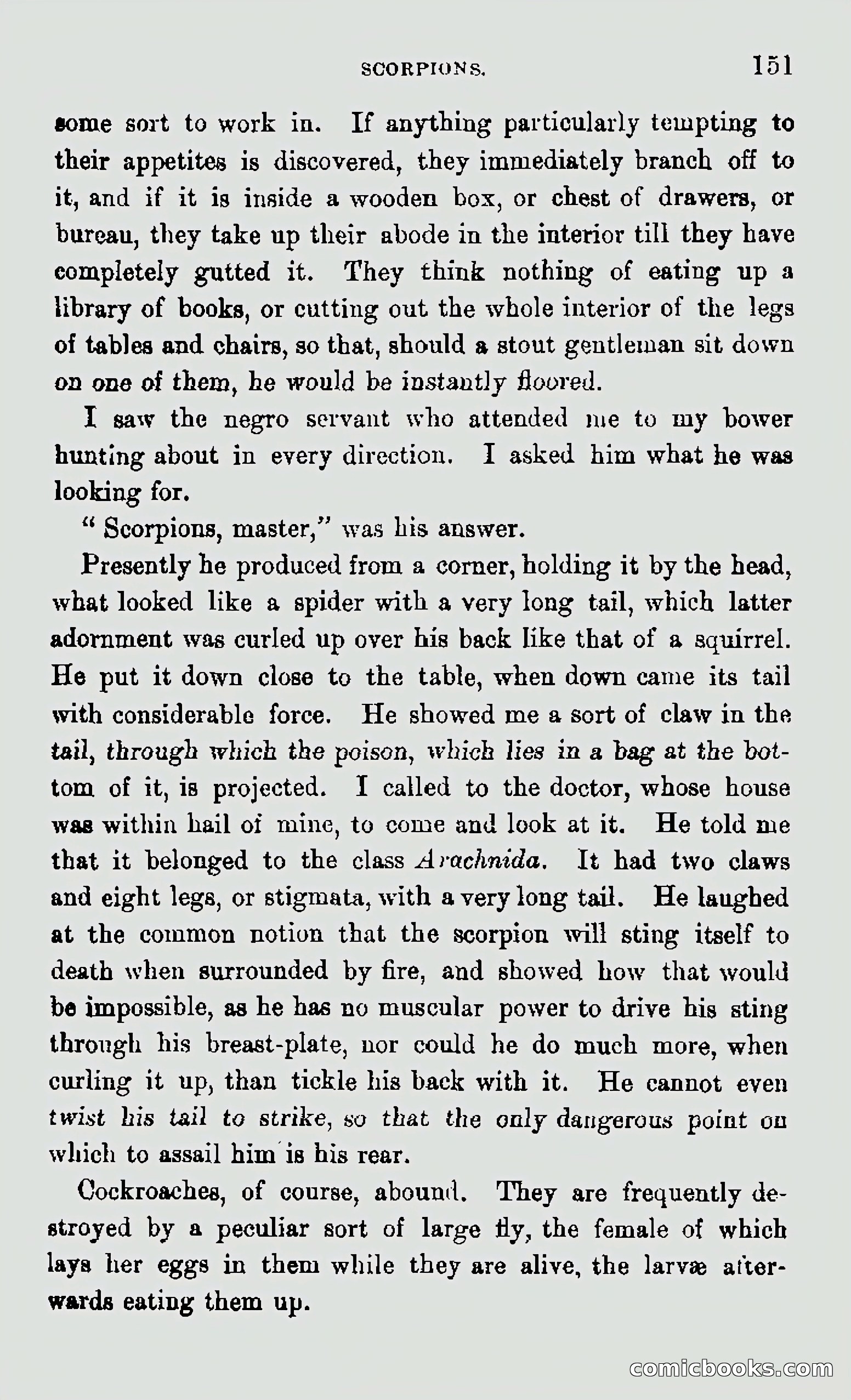My First Voyage to Southern Seas — page 153 of 400