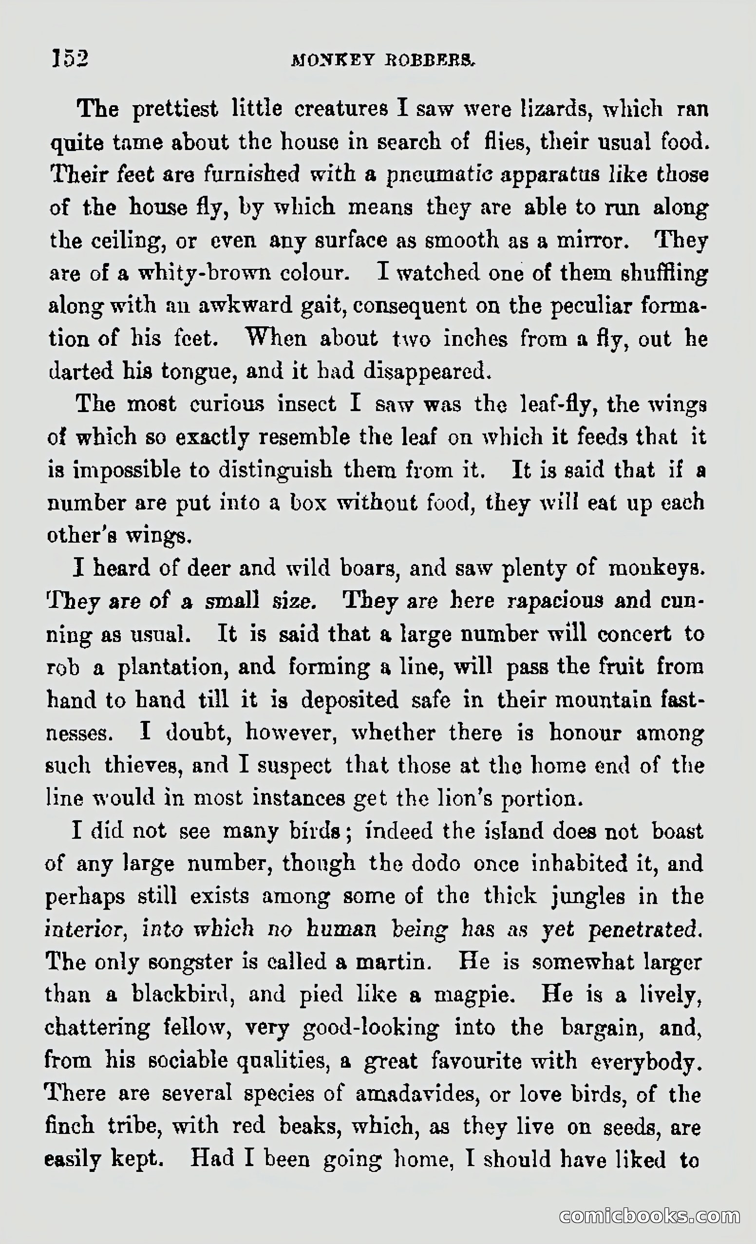 My First Voyage to Southern Seas — page 154 of 400