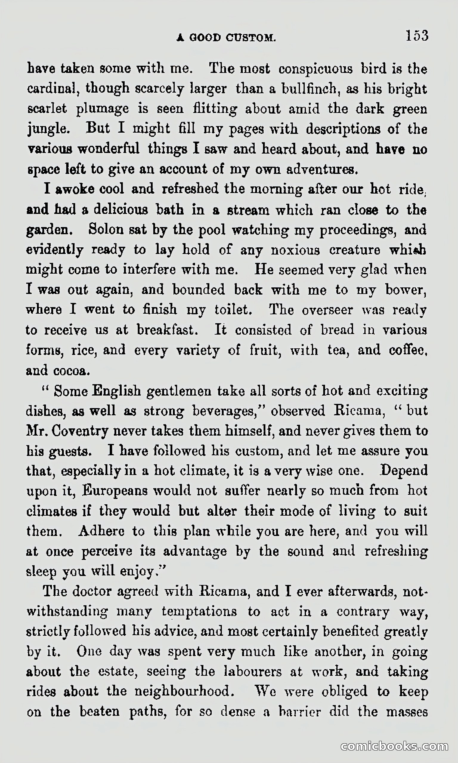 My First Voyage to Southern Seas — page 155 of 400
