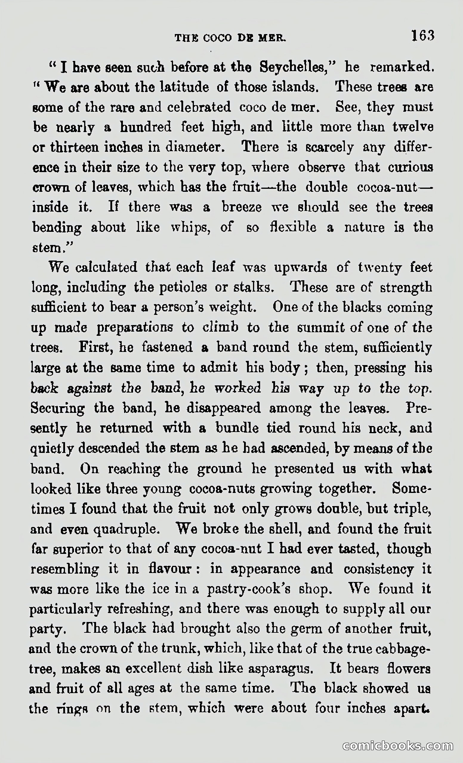 My First Voyage to Southern Seas — page 165 of 400