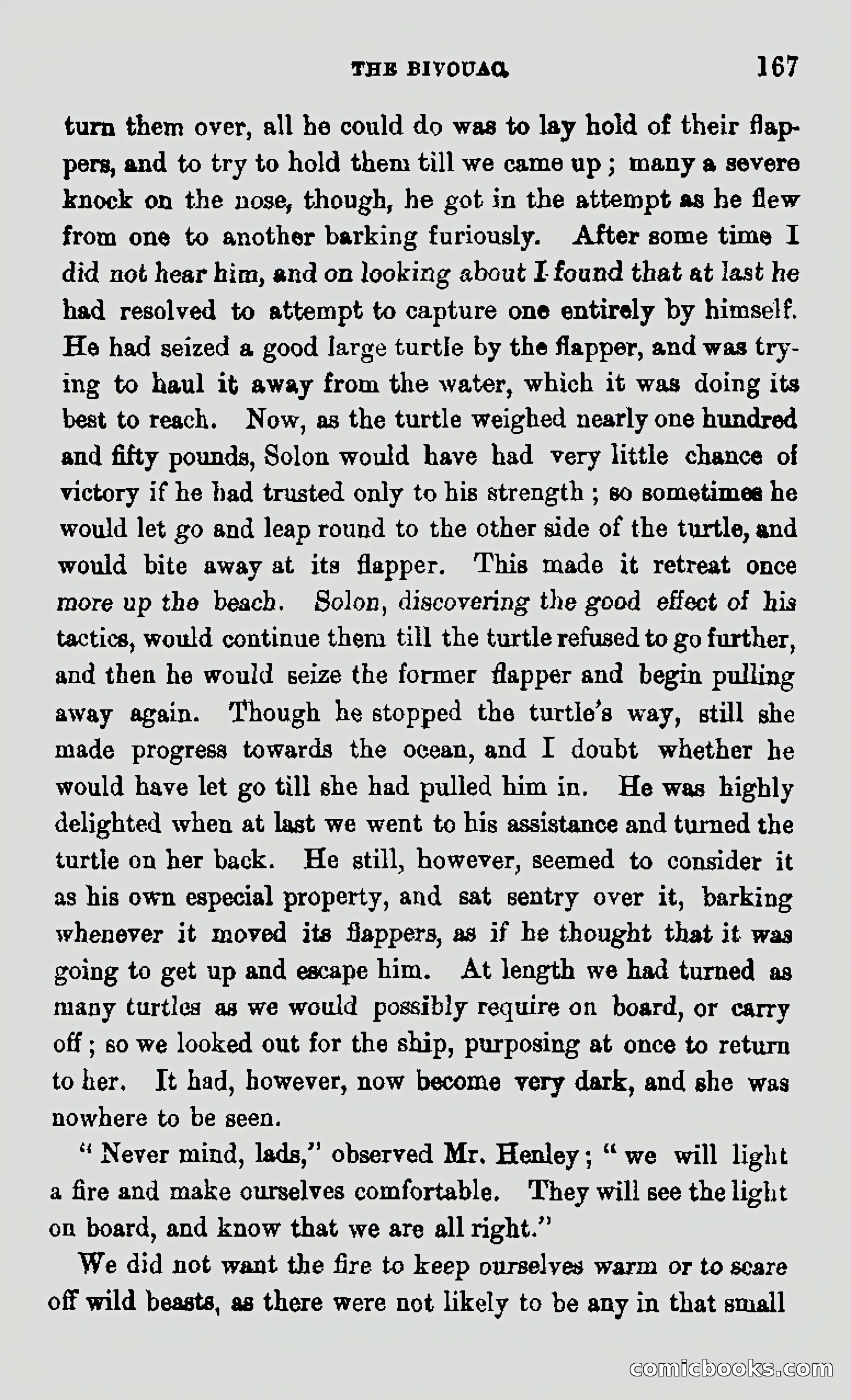 My First Voyage to Southern Seas — page 169 of 400