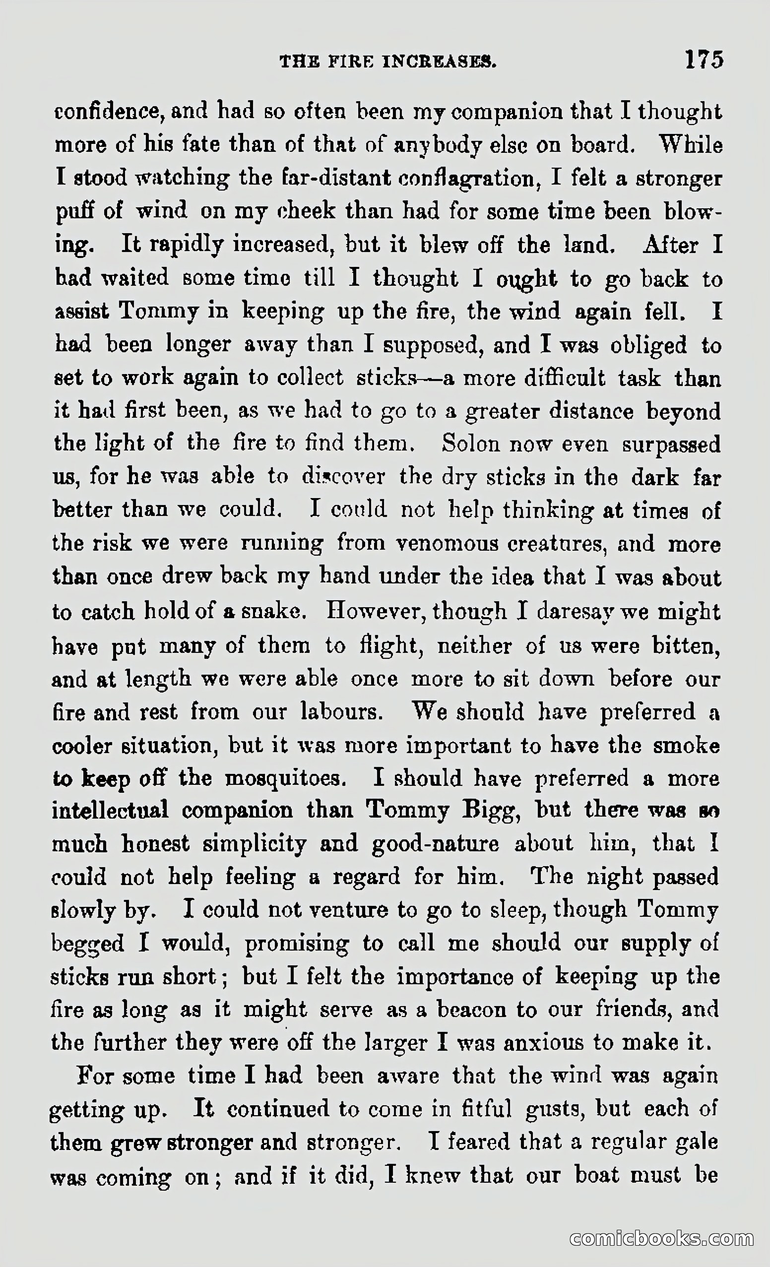 My First Voyage to Southern Seas — page 177 of 400