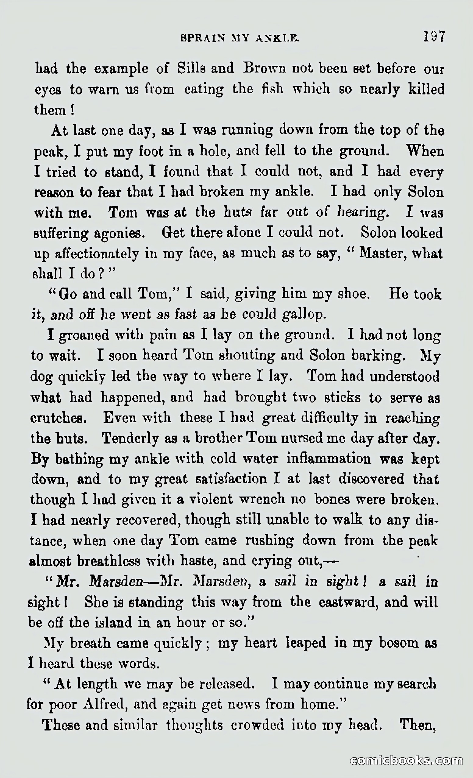 My First Voyage to Southern Seas — page 199 of 400