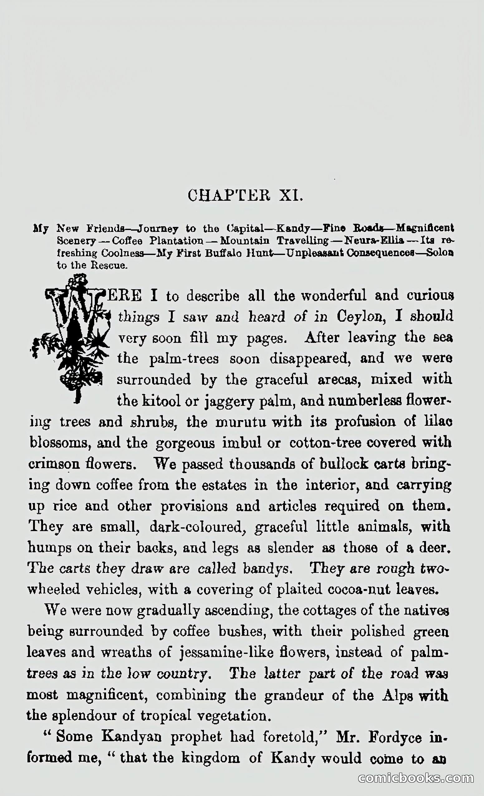 My First Voyage to Southern Seas — page 216 of 400