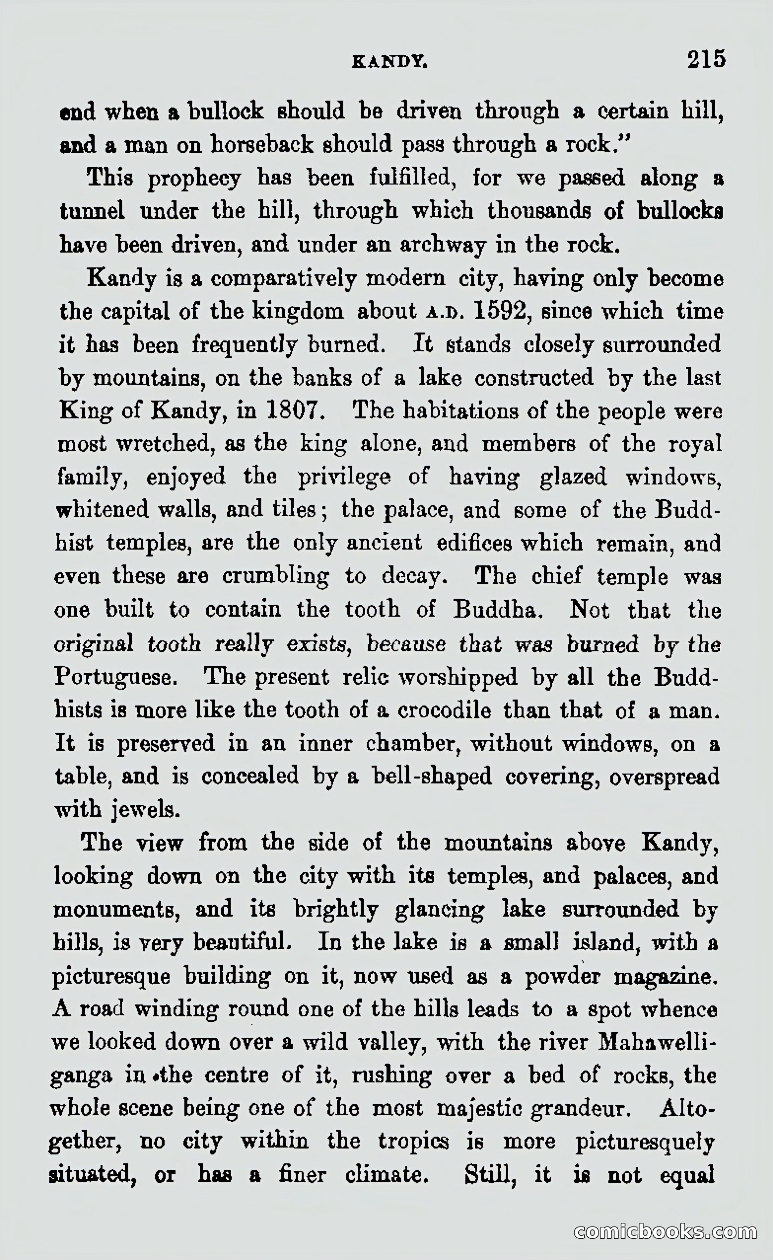 My First Voyage to Southern Seas — page 217 of 400
