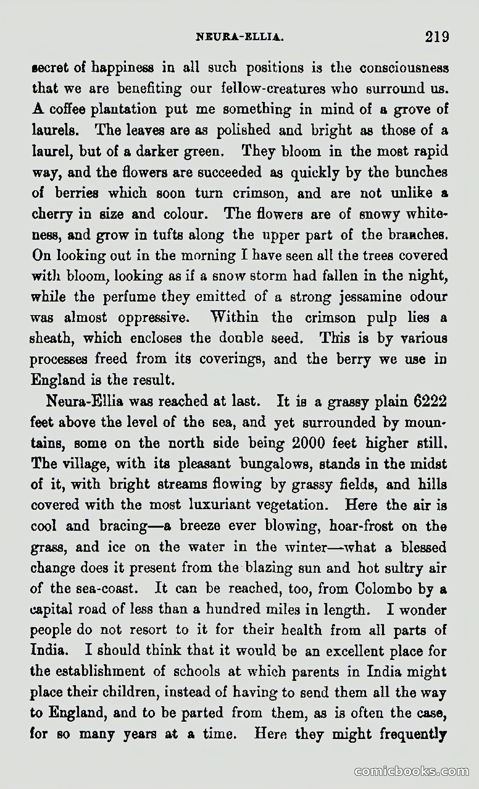 My First Voyage to Southern Seas — page 221 of 400
