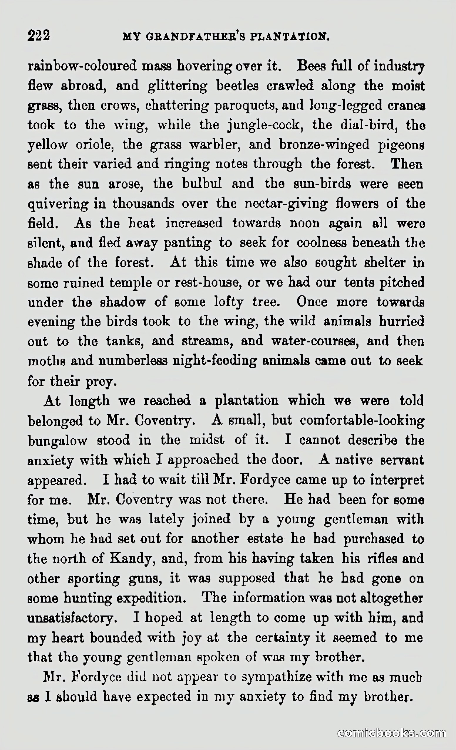 My First Voyage to Southern Seas — page 224 of 400