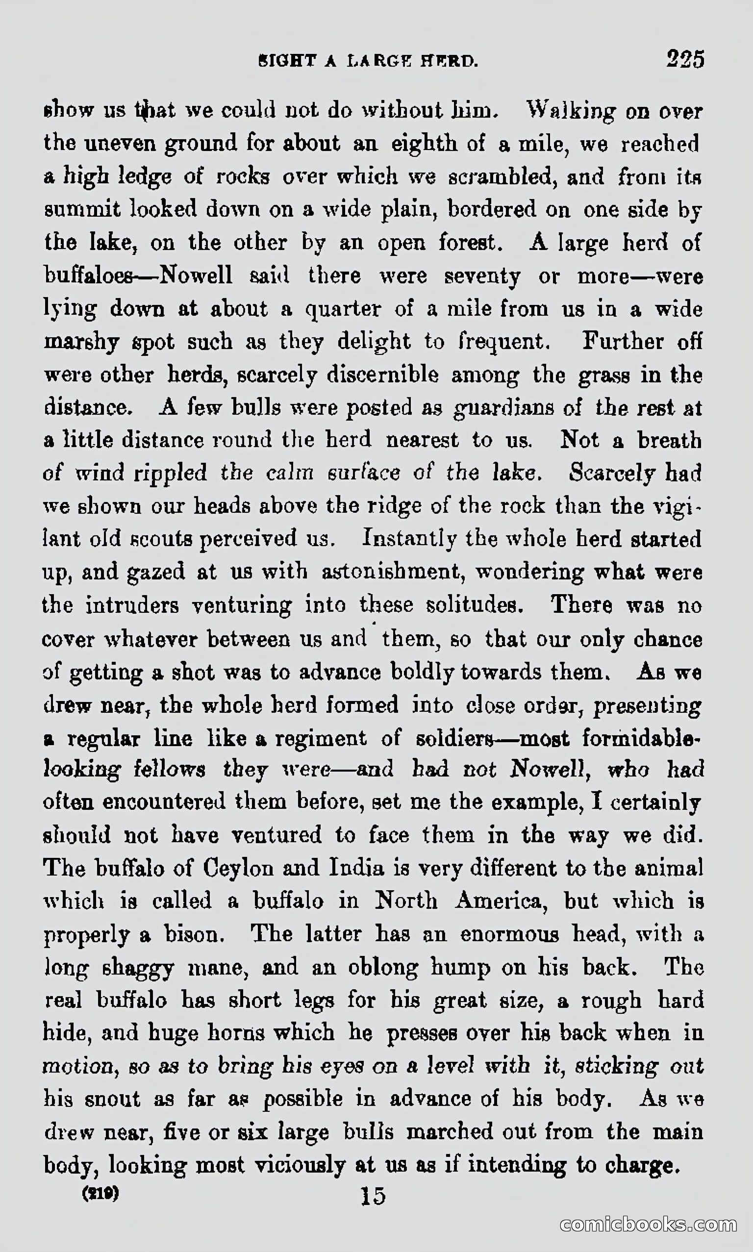 My First Voyage to Southern Seas — page 227 of 400
