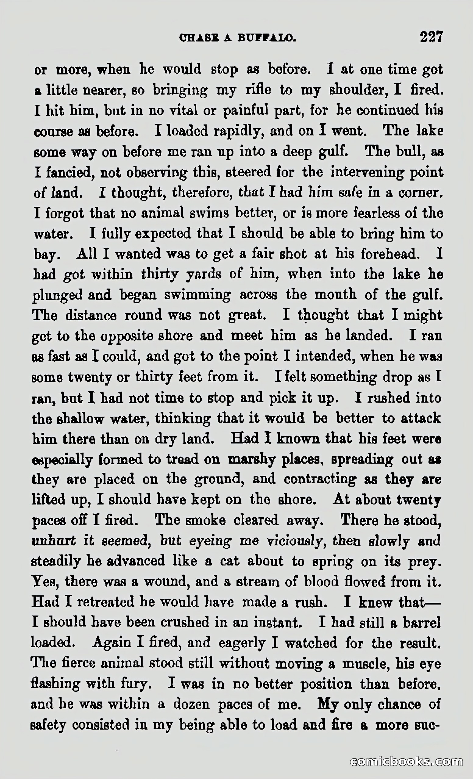 My First Voyage to Southern Seas — page 229 of 400