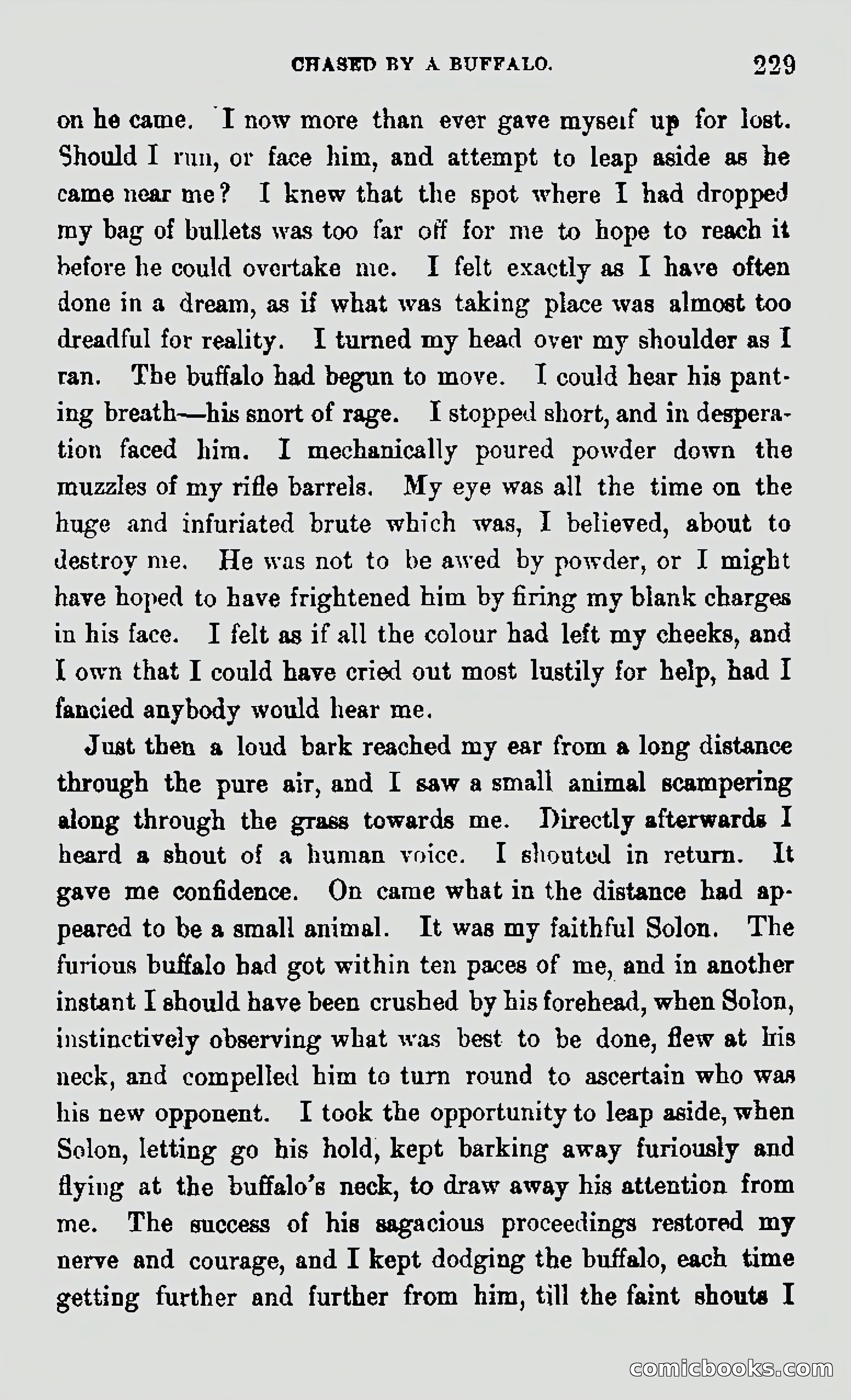 My First Voyage to Southern Seas — page 231 of 400
