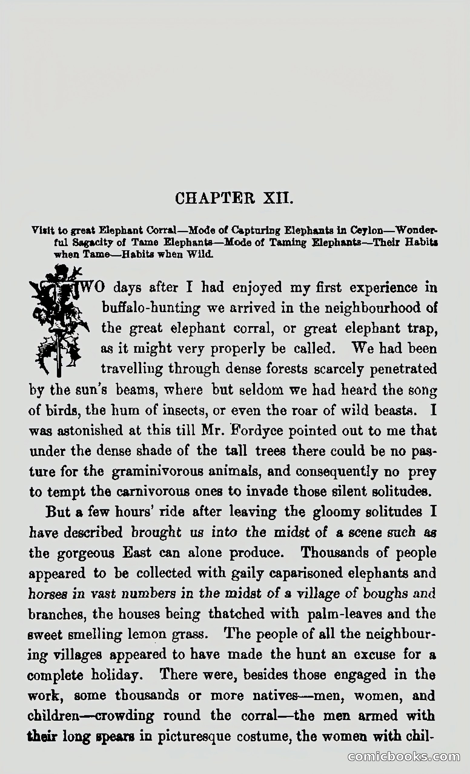 My First Voyage to Southern Seas — page 233 of 400