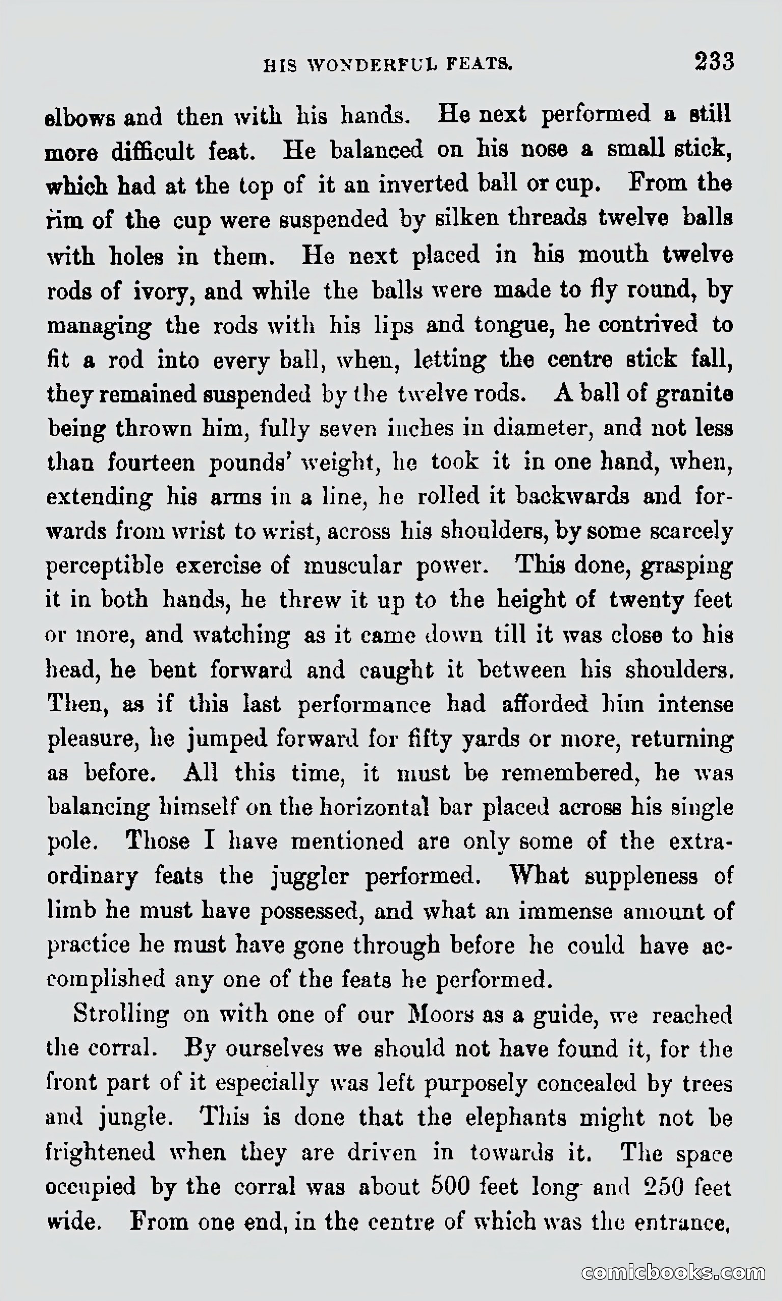My First Voyage to Southern Seas — page 235 of 400