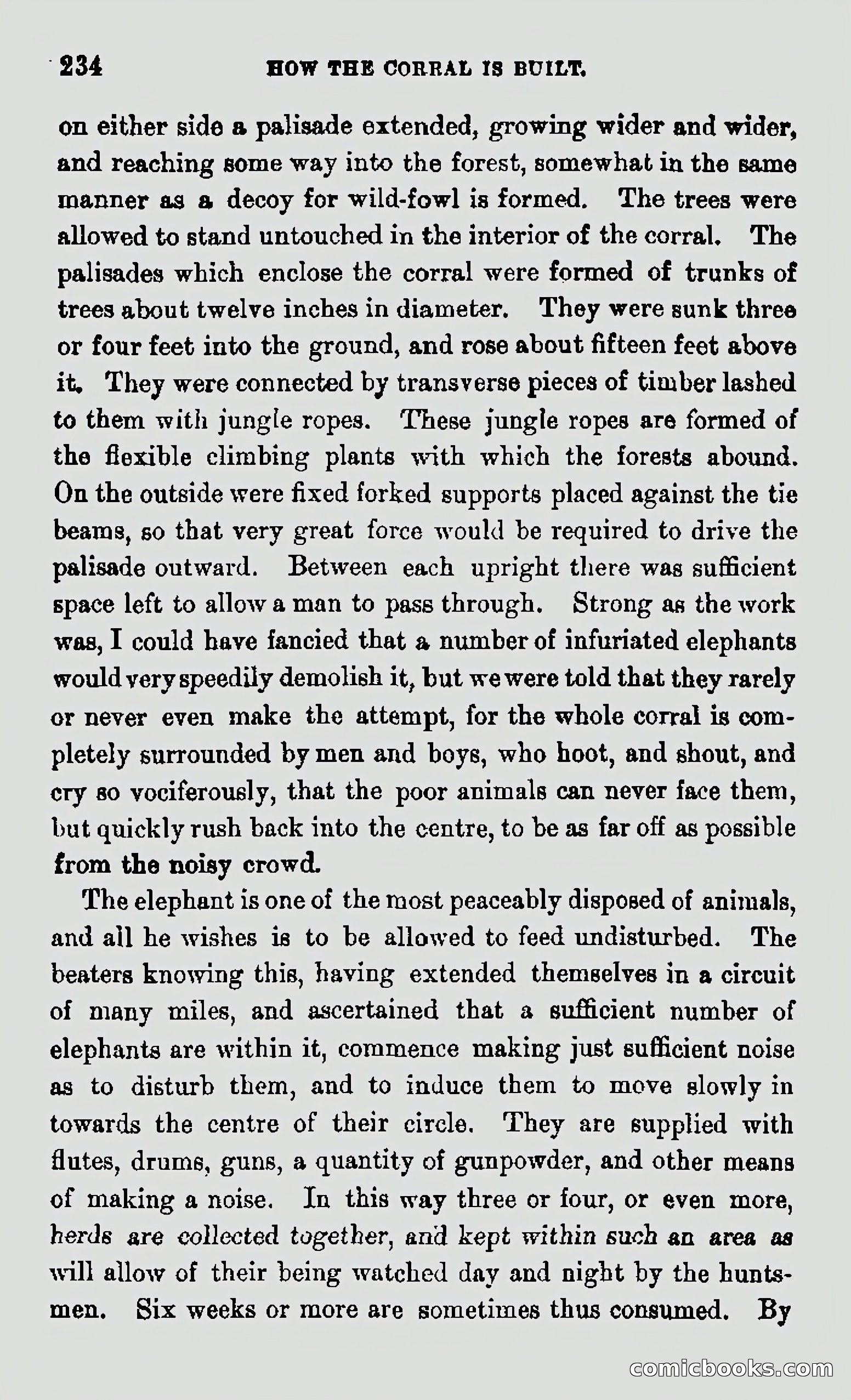 My First Voyage to Southern Seas — page 236 of 400