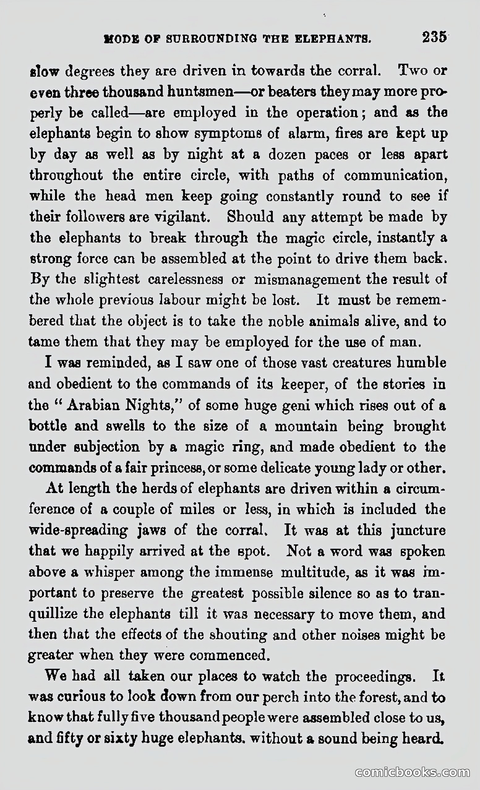 My First Voyage to Southern Seas — page 237 of 400