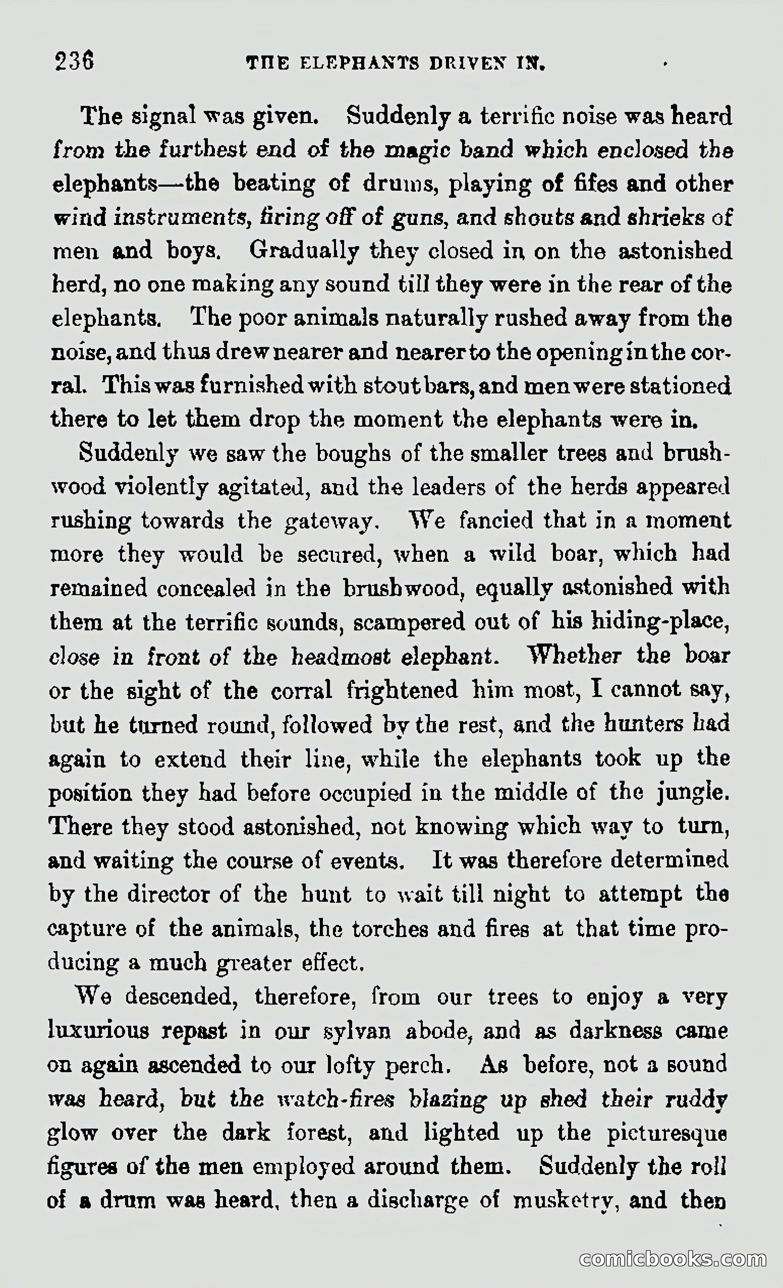 My First Voyage to Southern Seas — page 238 of 400