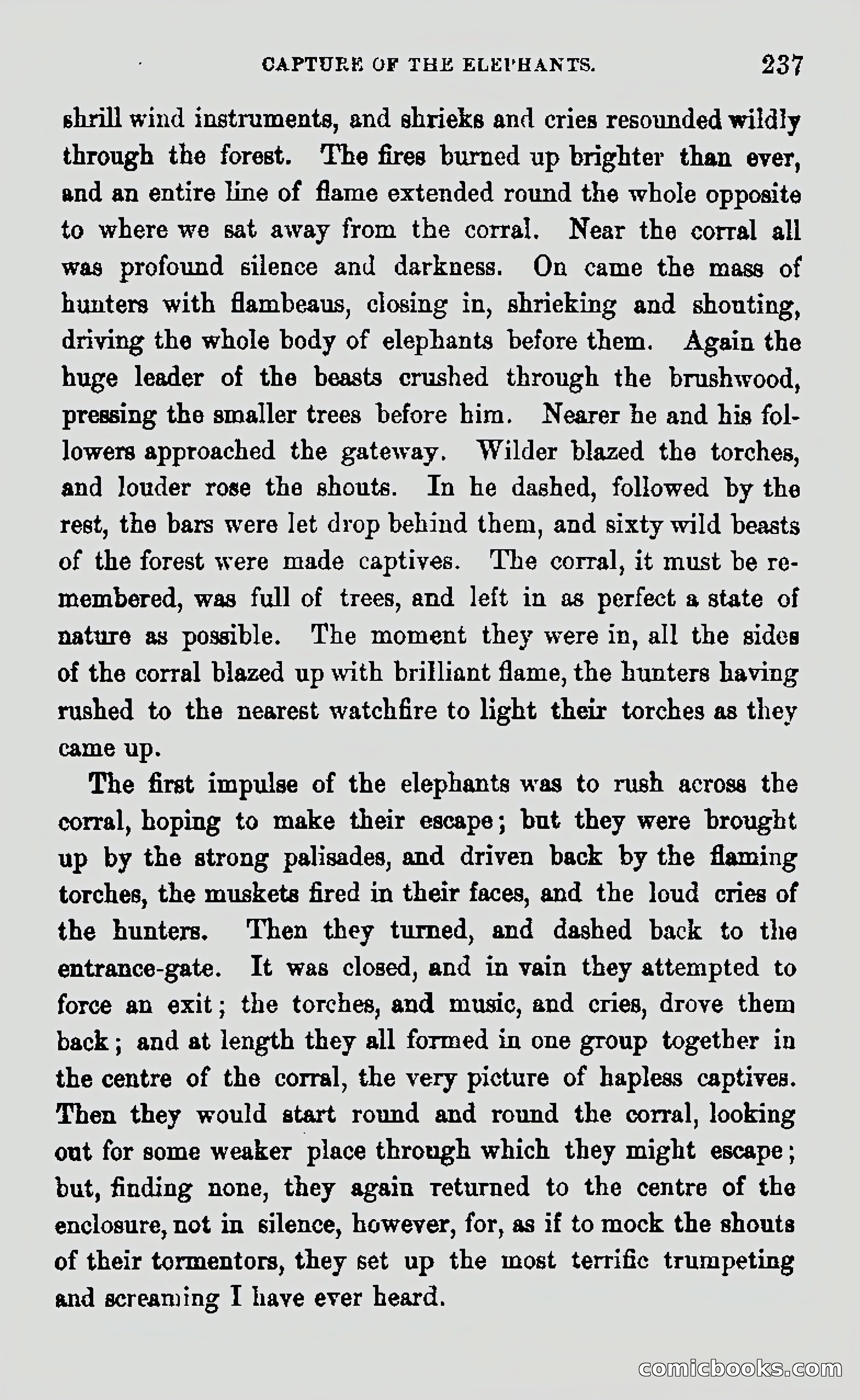 My First Voyage to Southern Seas — page 239 of 400