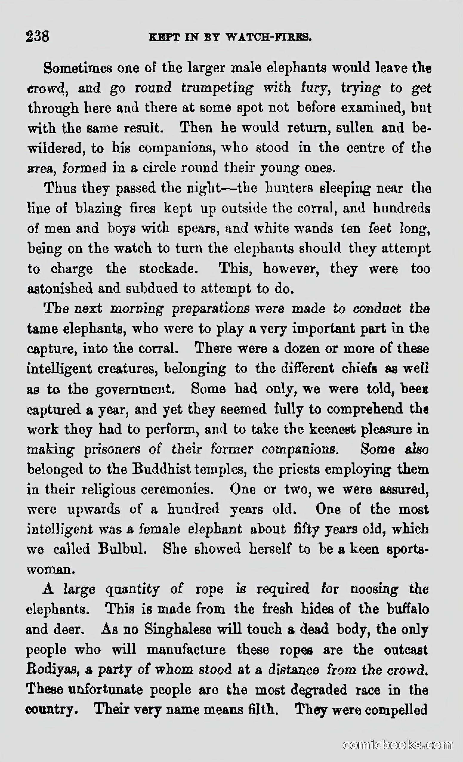 My First Voyage to Southern Seas — page 240 of 400