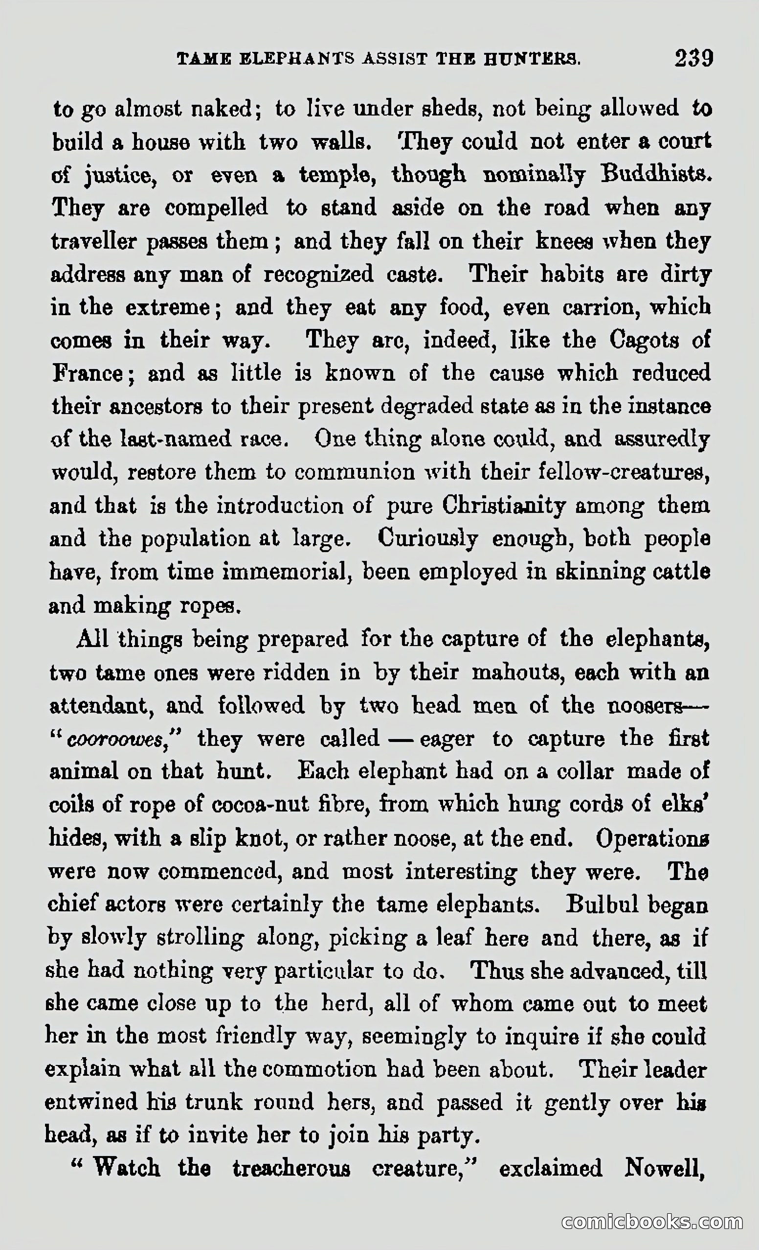 My First Voyage to Southern Seas — page 241 of 400
