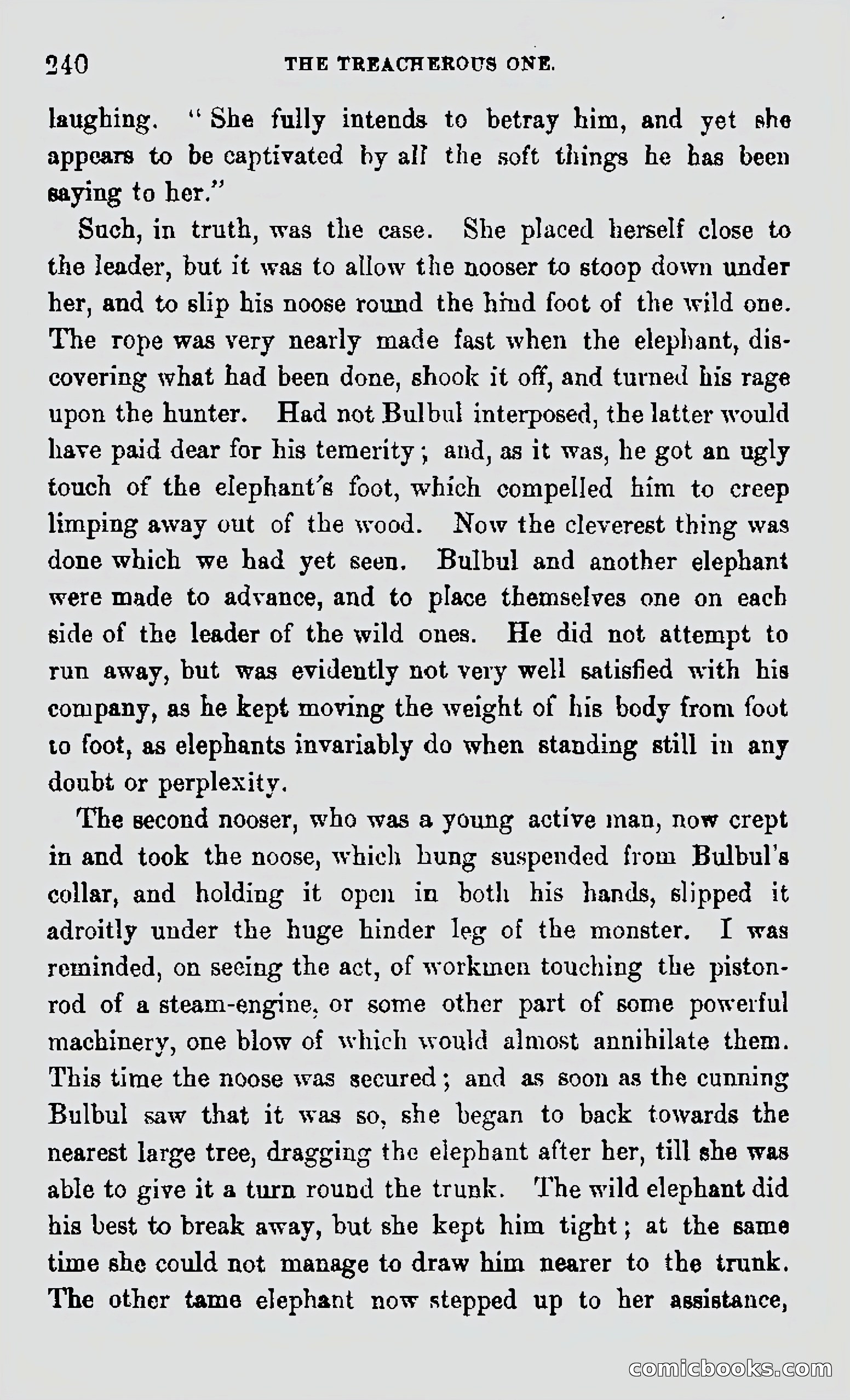 My First Voyage to Southern Seas — page 242 of 400