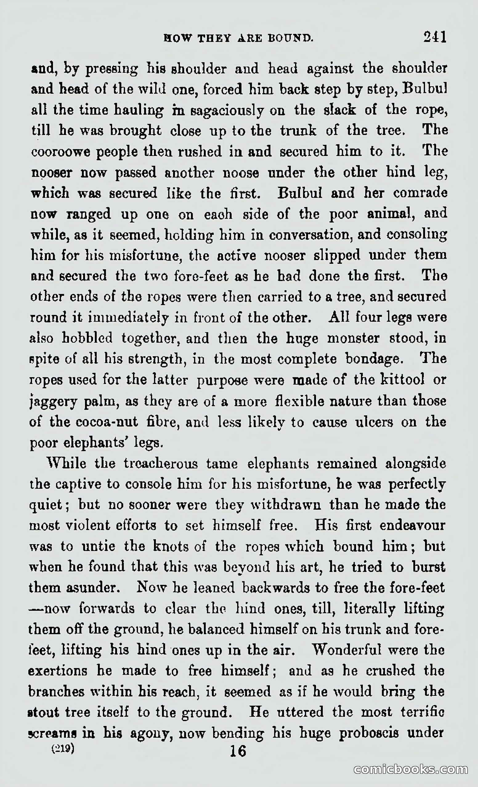 My First Voyage to Southern Seas — page 243 of 400