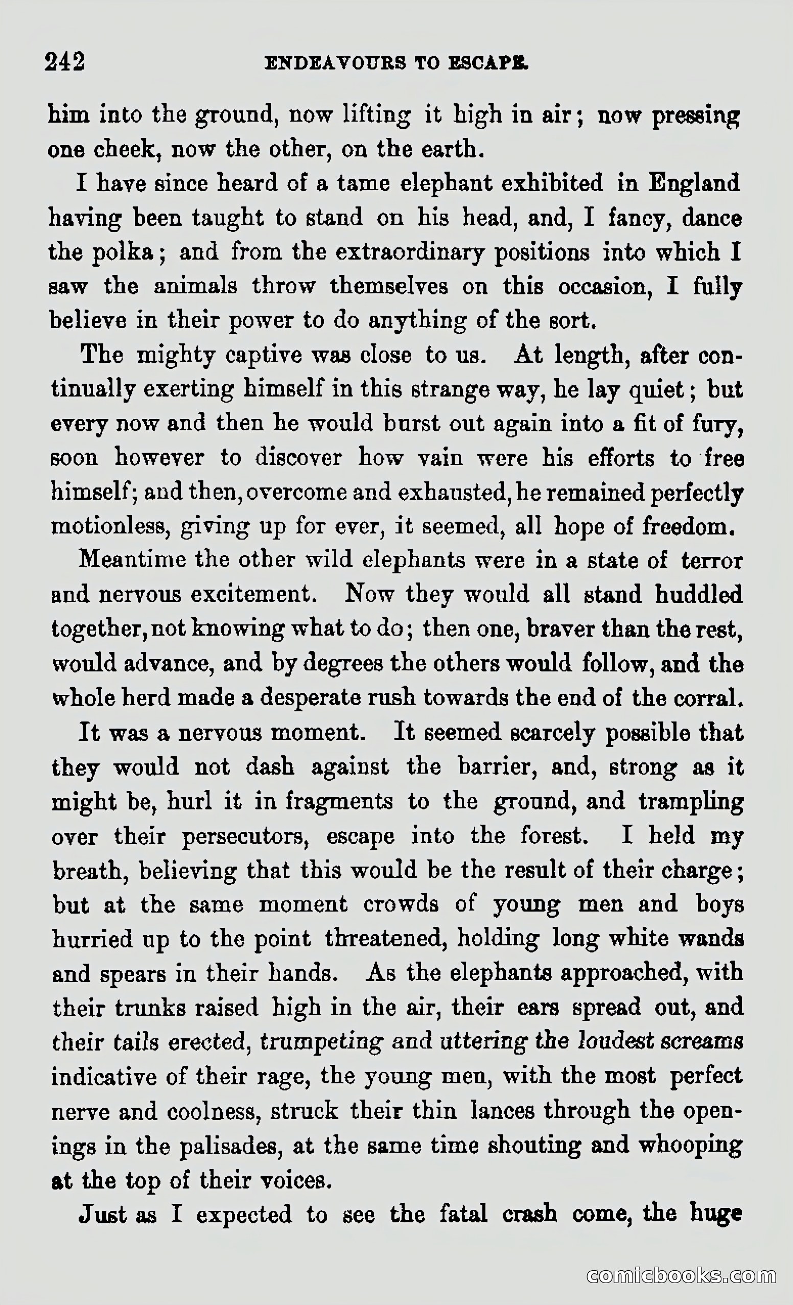My First Voyage to Southern Seas — page 244 of 400