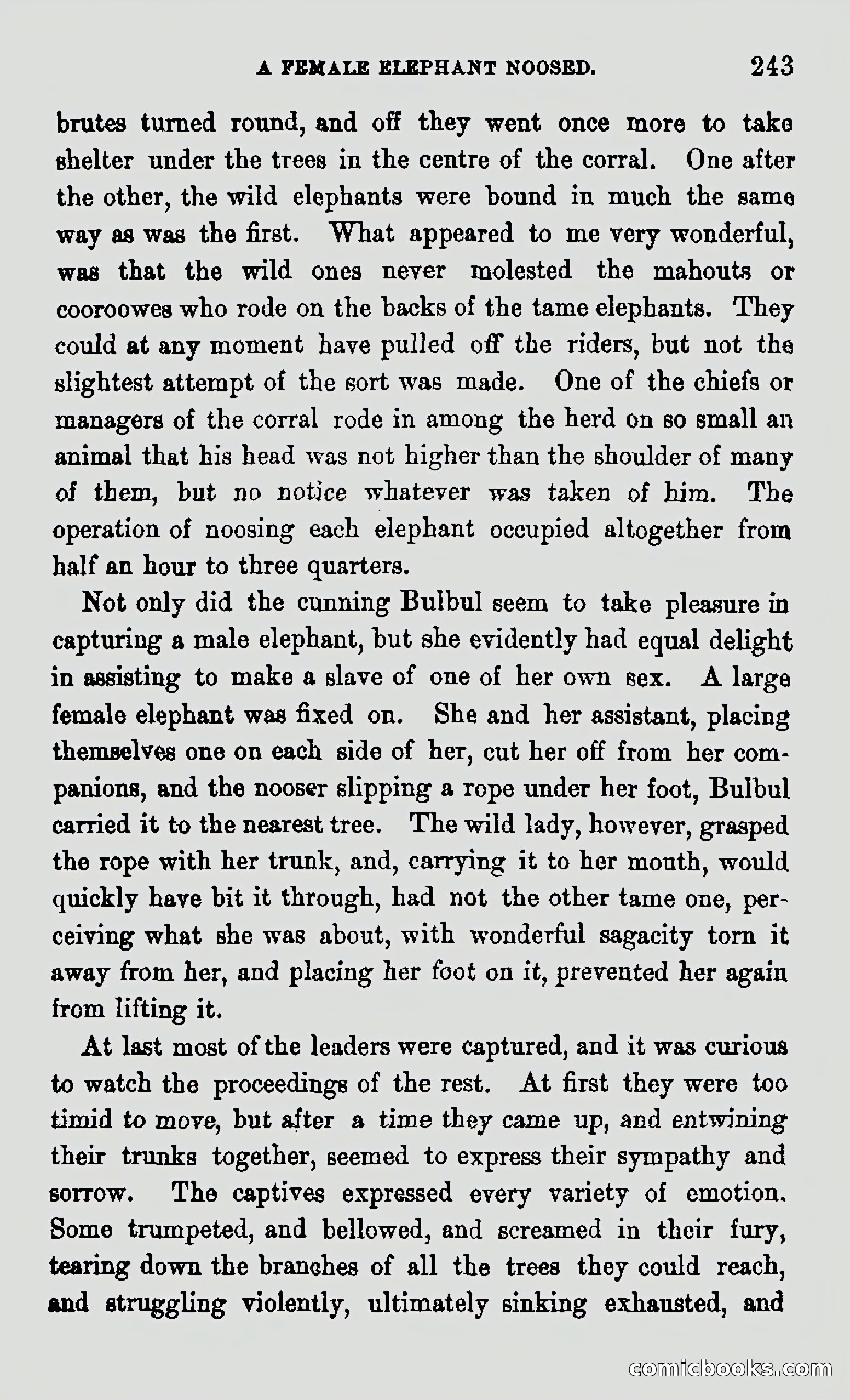 My First Voyage to Southern Seas — page 245 of 400