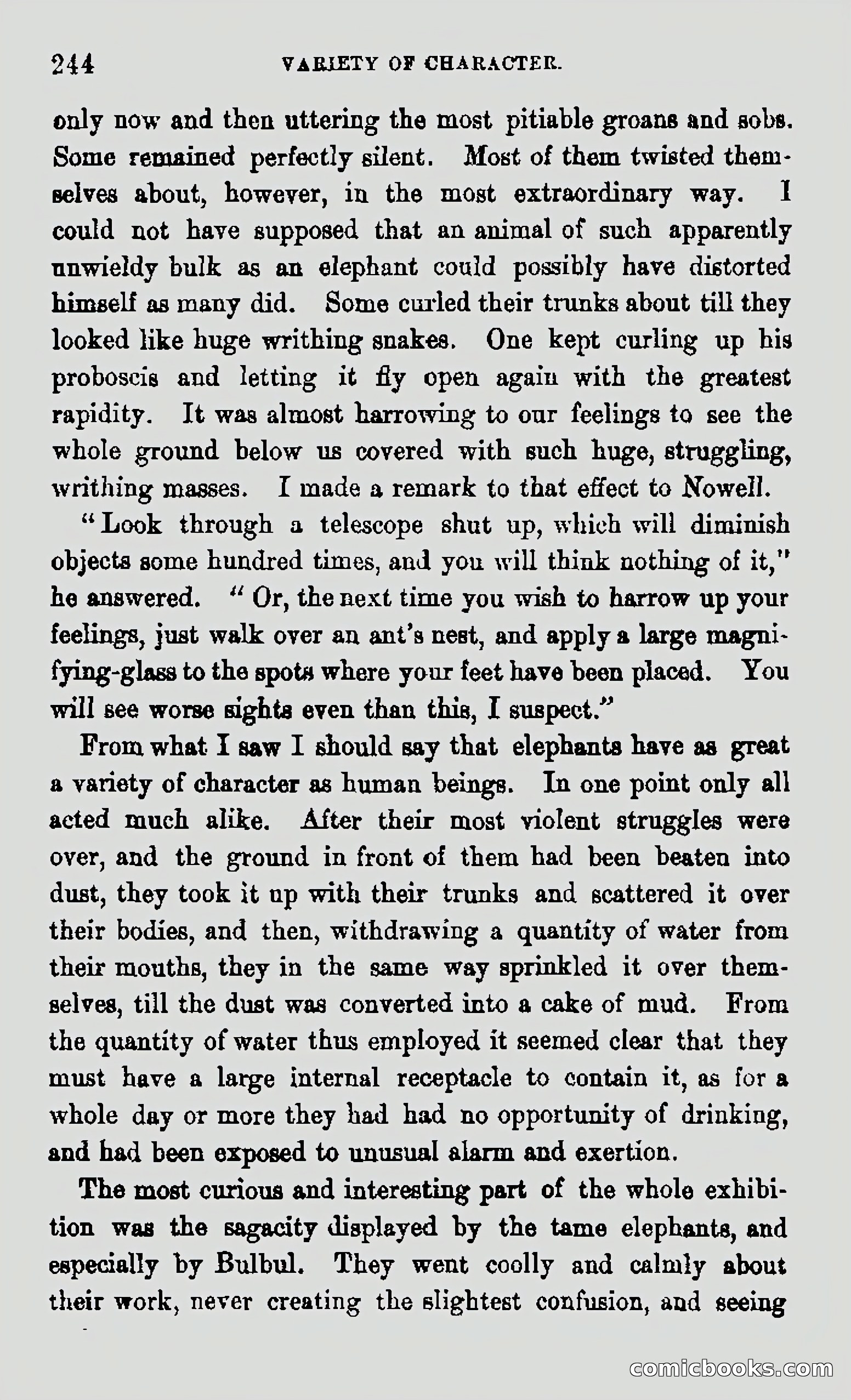 My First Voyage to Southern Seas — page 246 of 400