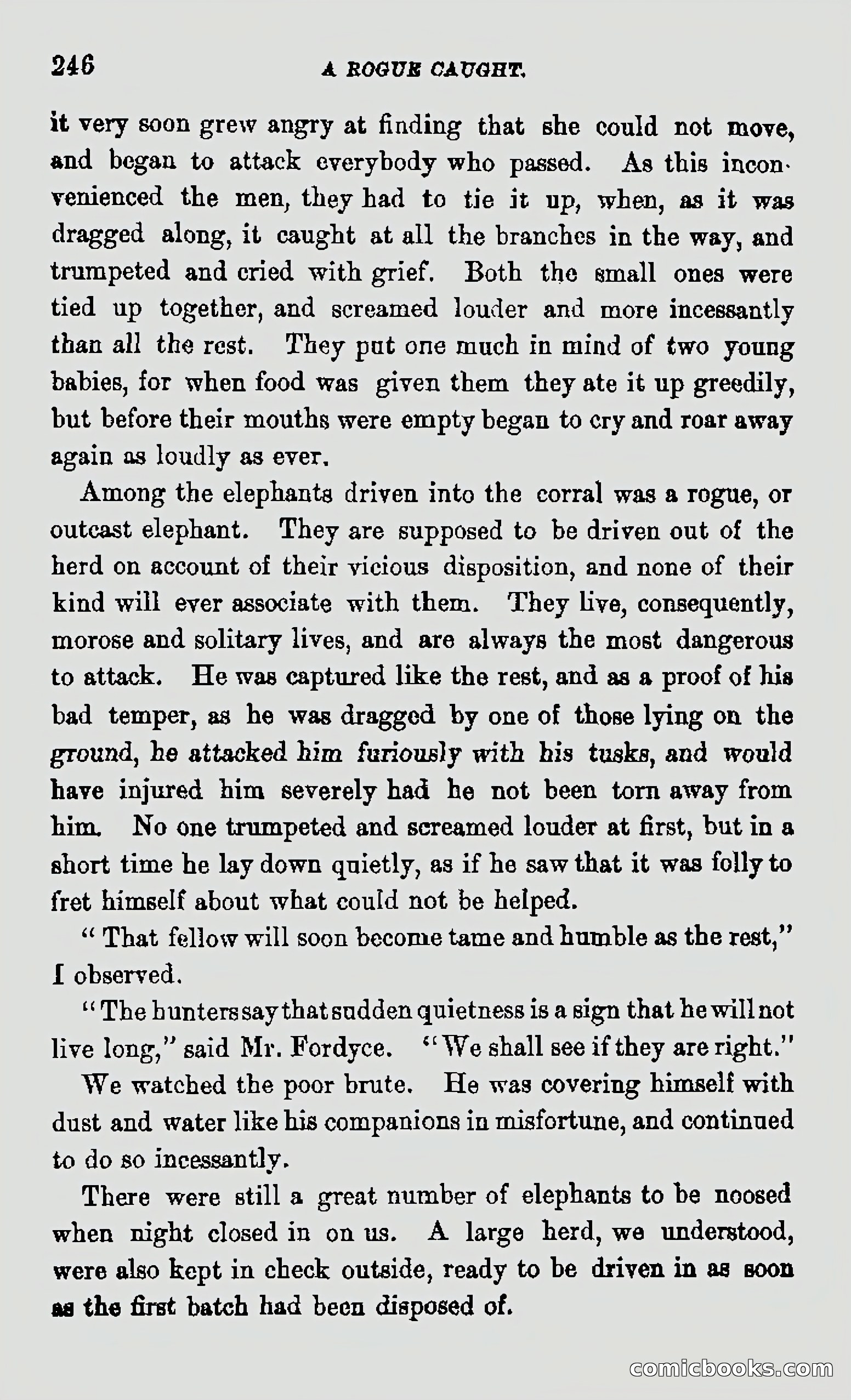 My First Voyage to Southern Seas — page 248 of 400