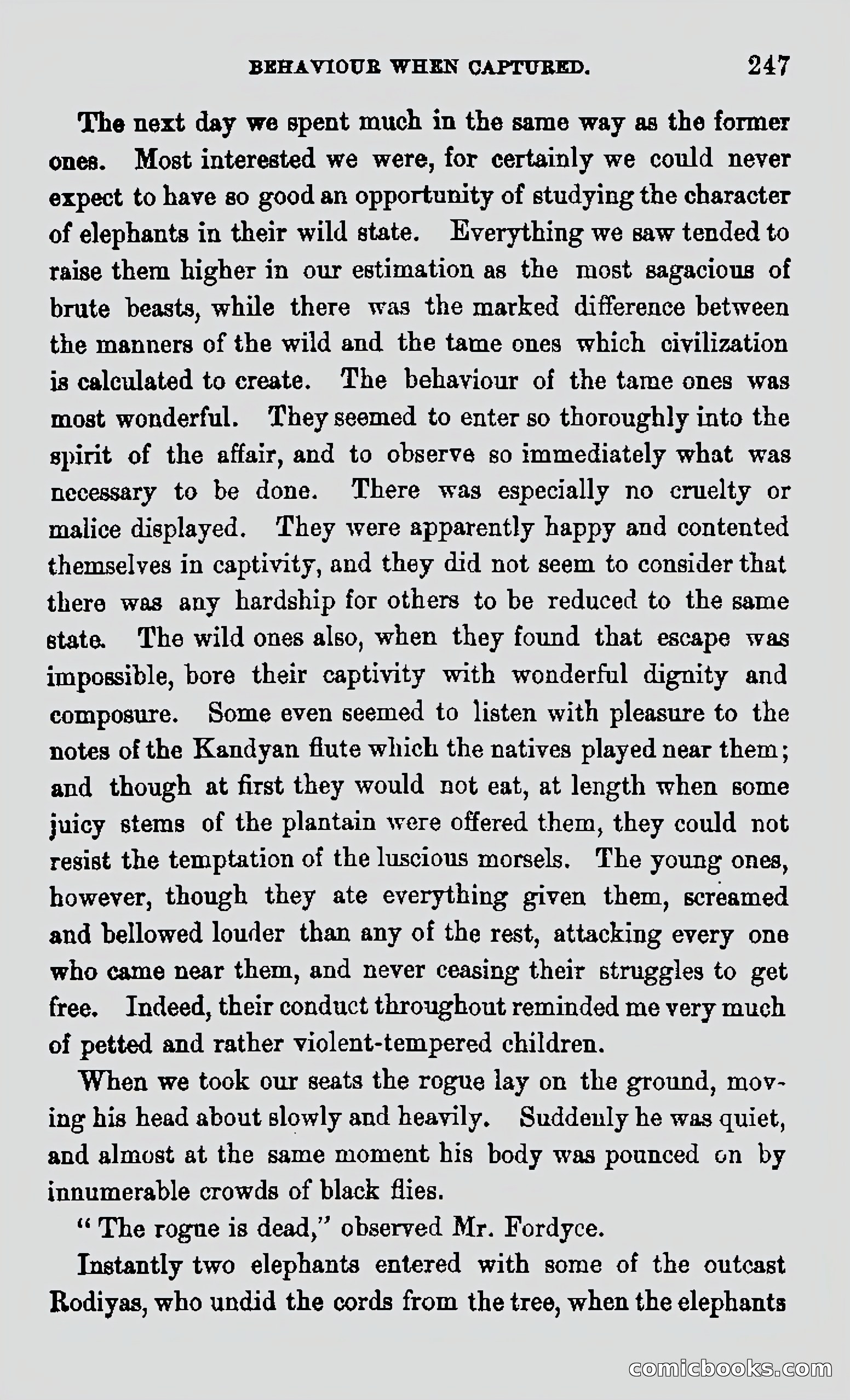 My First Voyage to Southern Seas — page 249 of 400